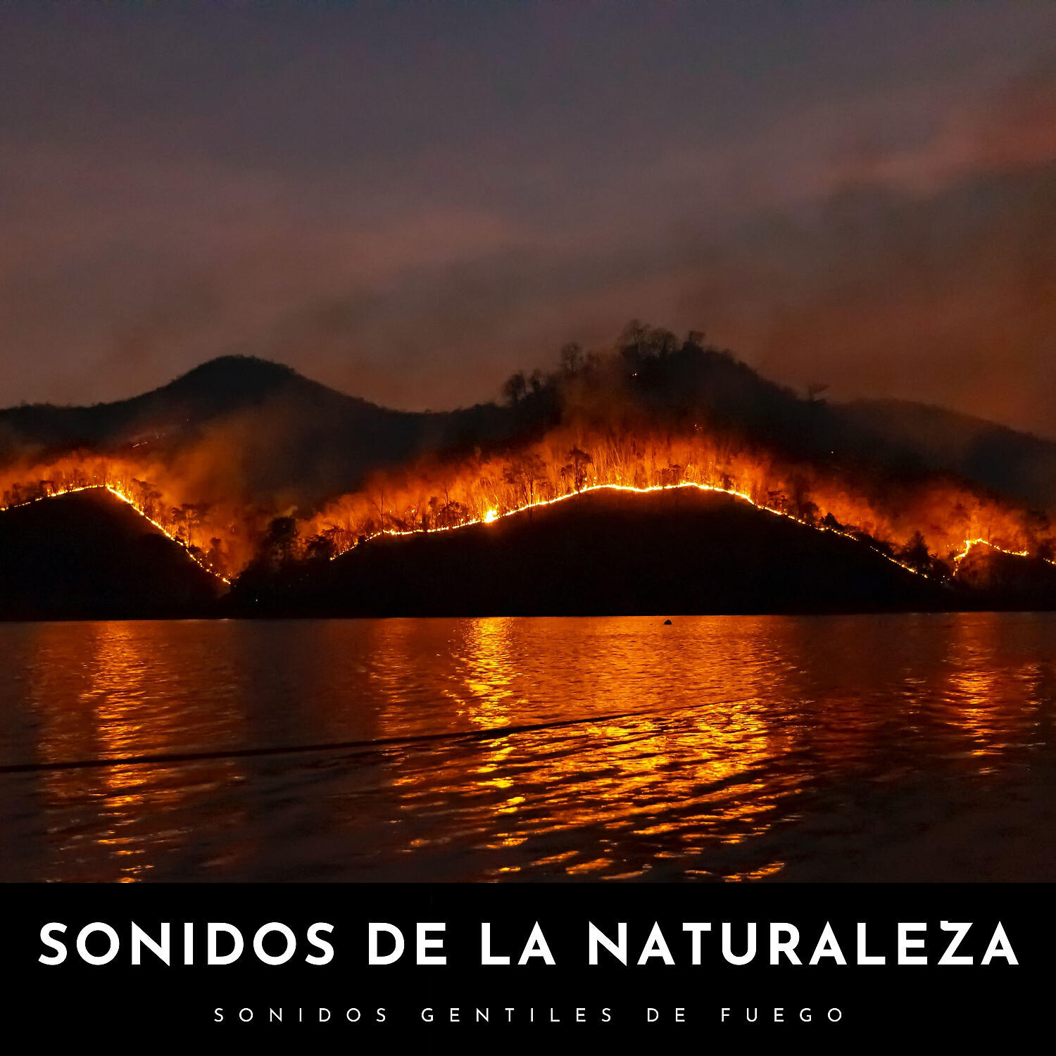 Релиз Sonidos De La Naturaleza: Sonidos Gentiles De Fuego