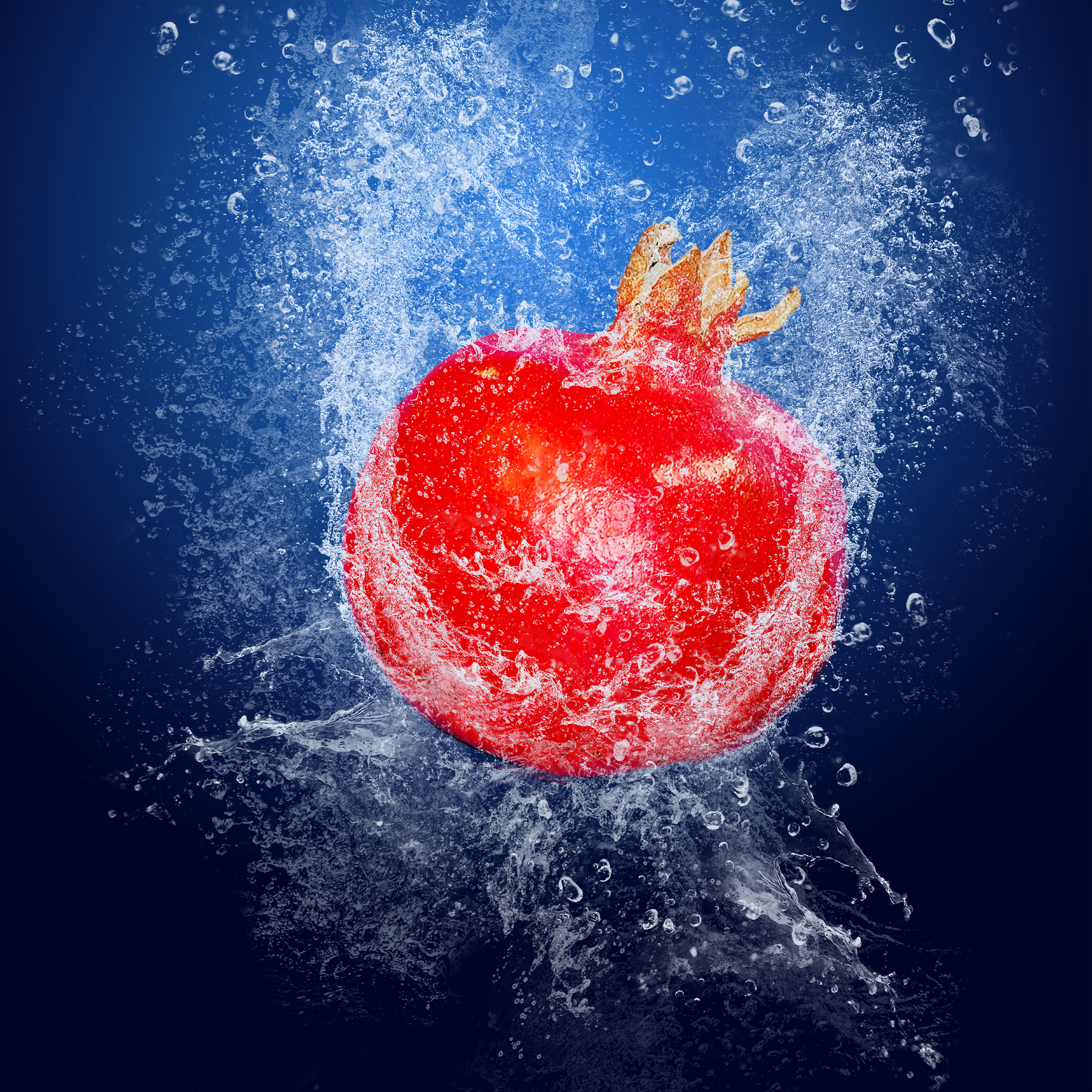 Релиз Trop