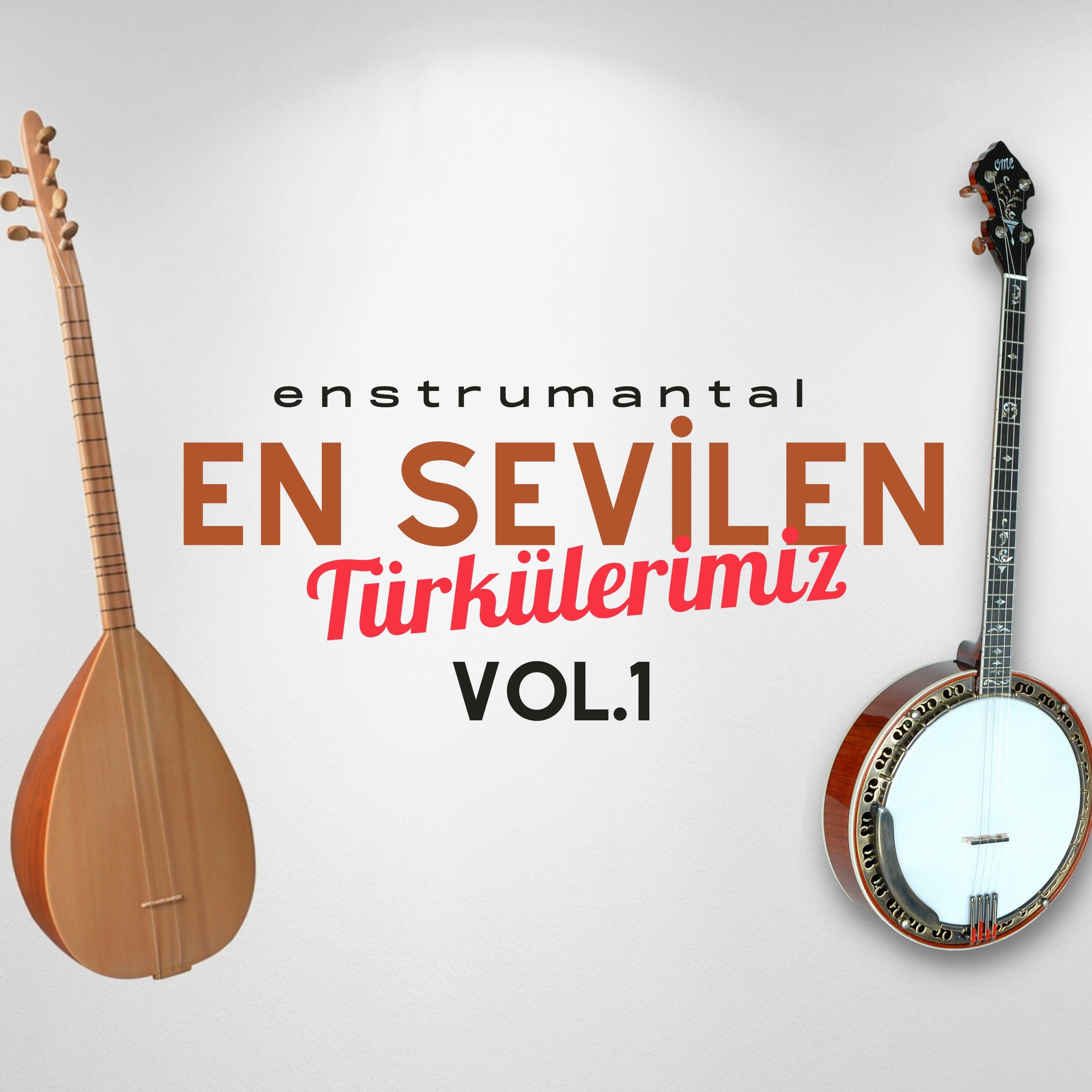 Релиз En Sevilen Türkülerimiz, Vol. 1