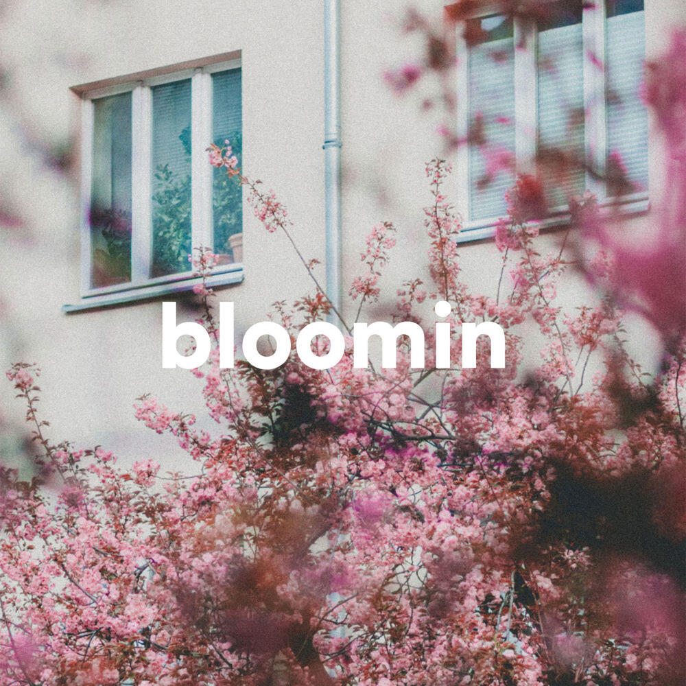 Релиз Bloomin'