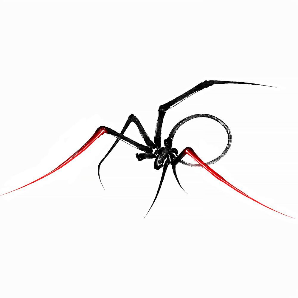 Релиз Little Spider