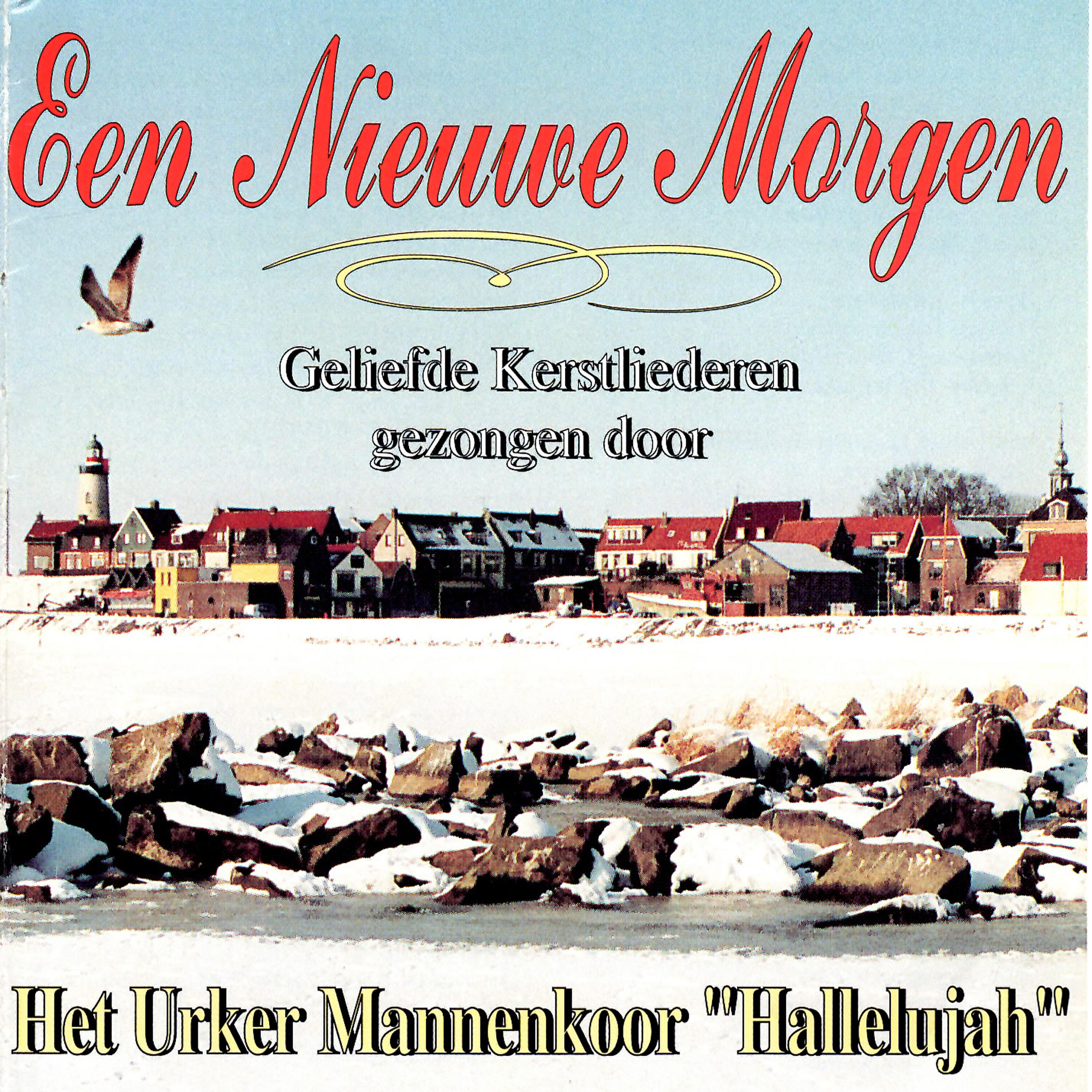 Релиз Een Nieuwe Morgen