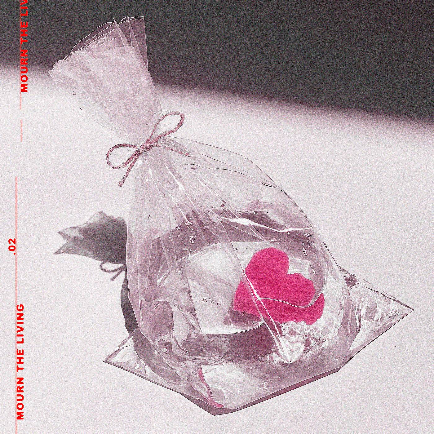 Релиз Mourn The Living