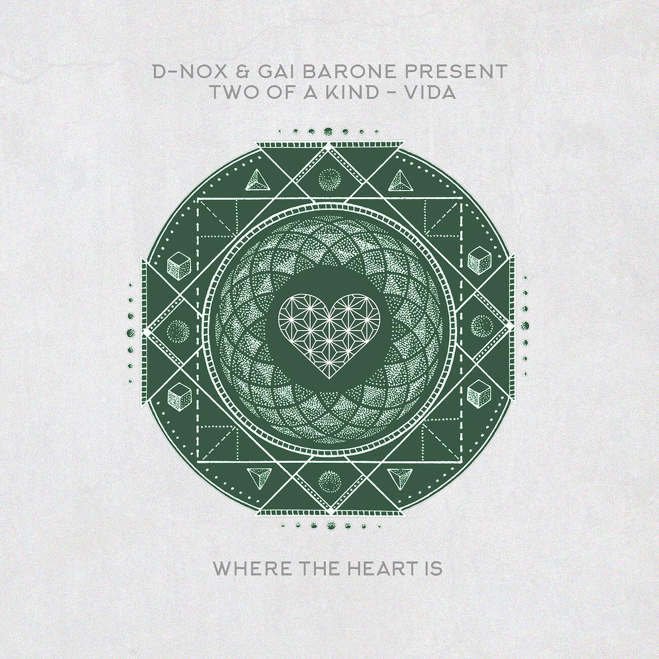 Скачать песню D-Nox, Gai Barone, Two of A Kind - Vida (DJ Zombi Remix) бесплатно в MP3 для Android и iOS