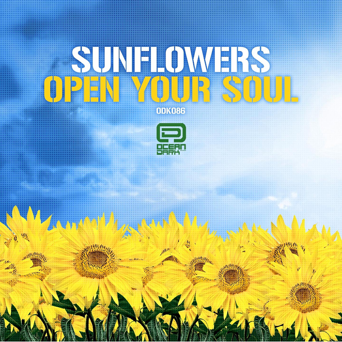 Релиз Open Your Soul