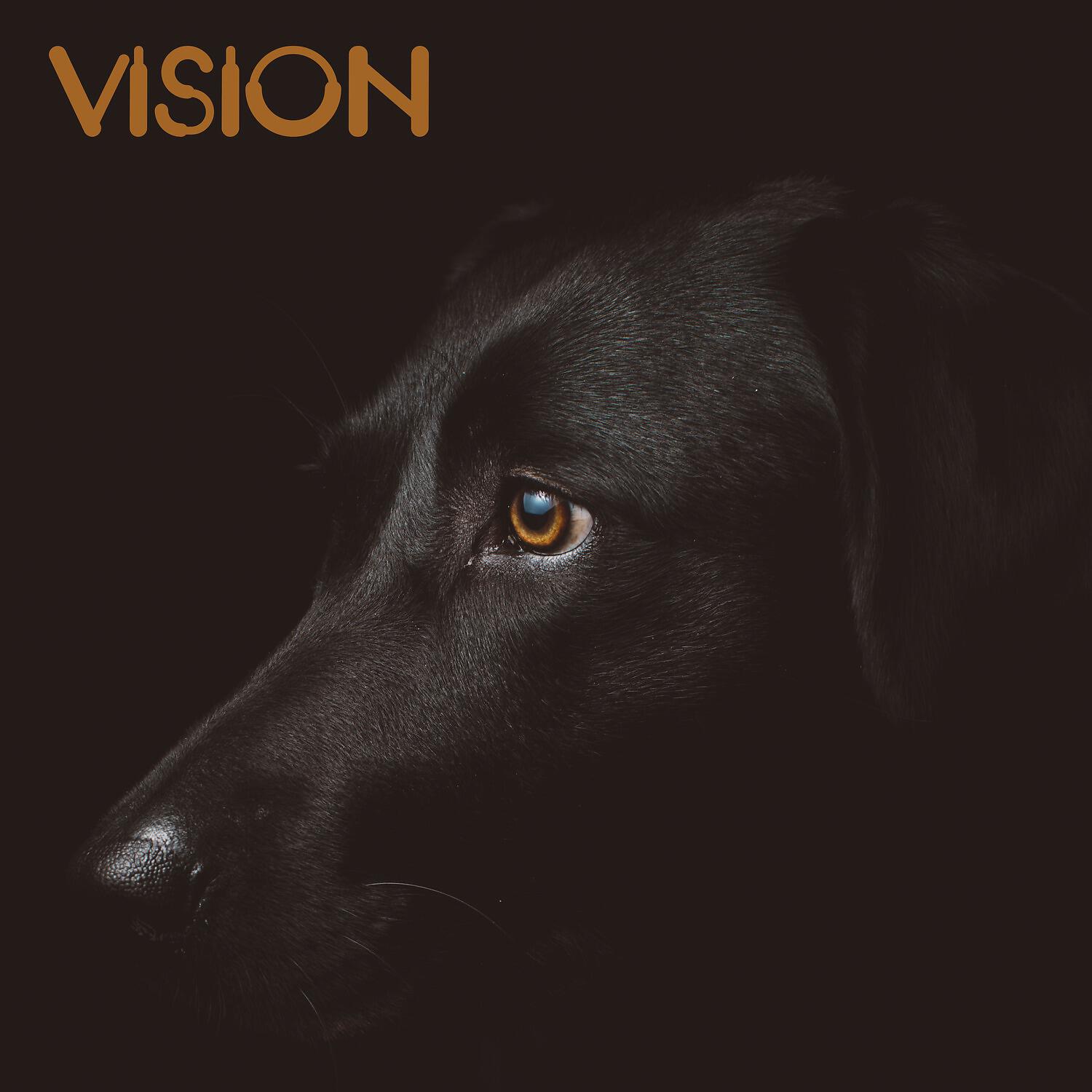 Релиз Vision