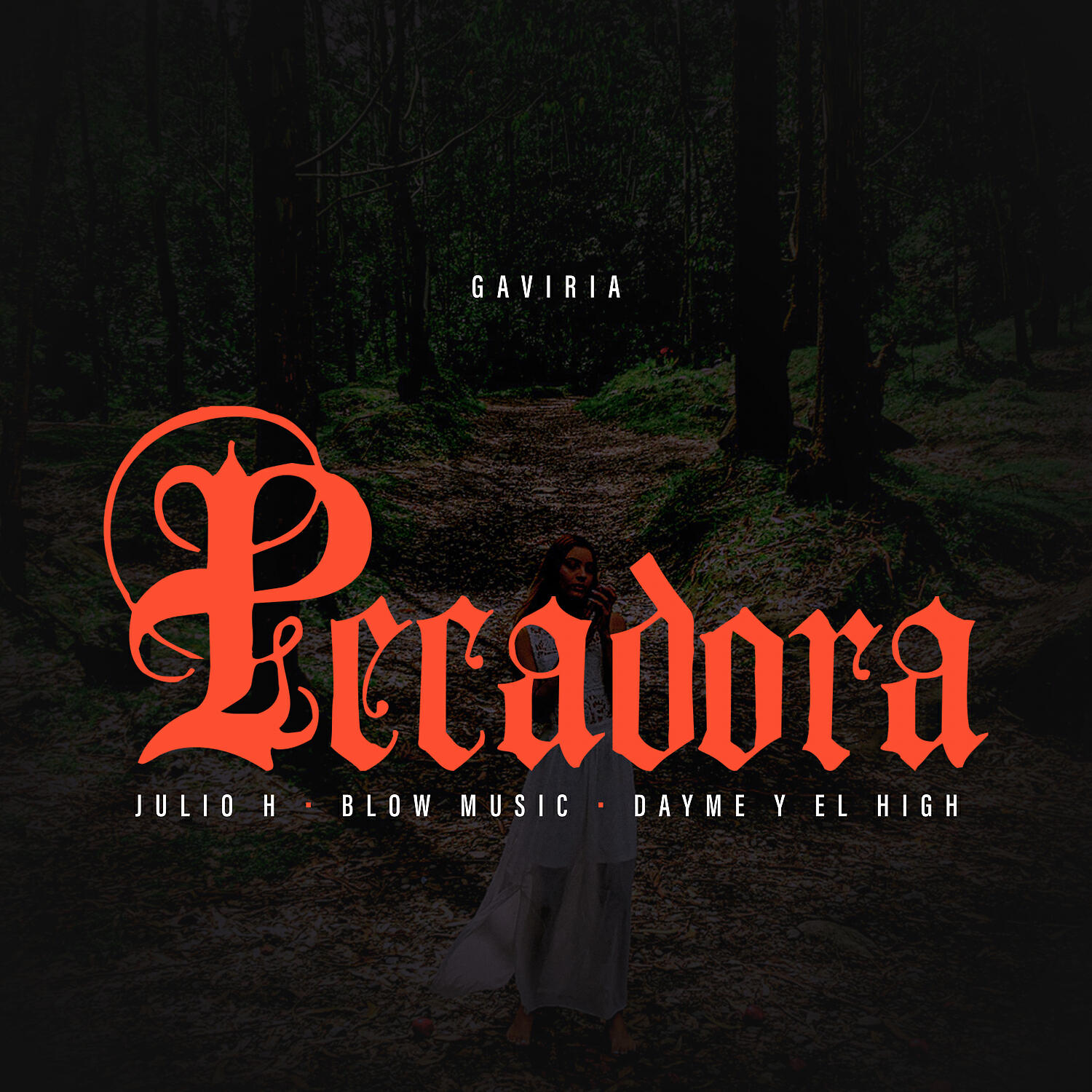 Постер альбома Pecadora