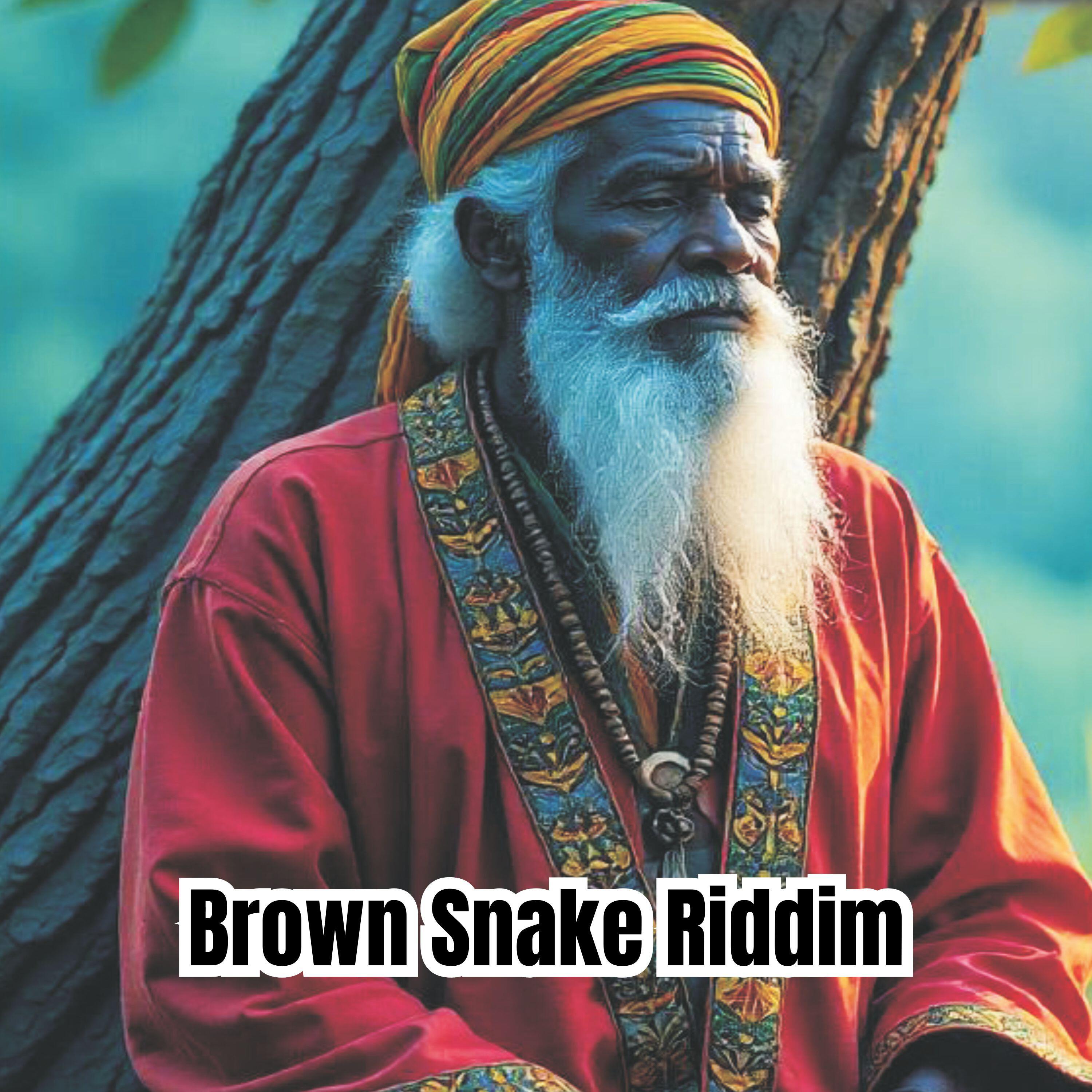 Релиз Brown Snake Riddim