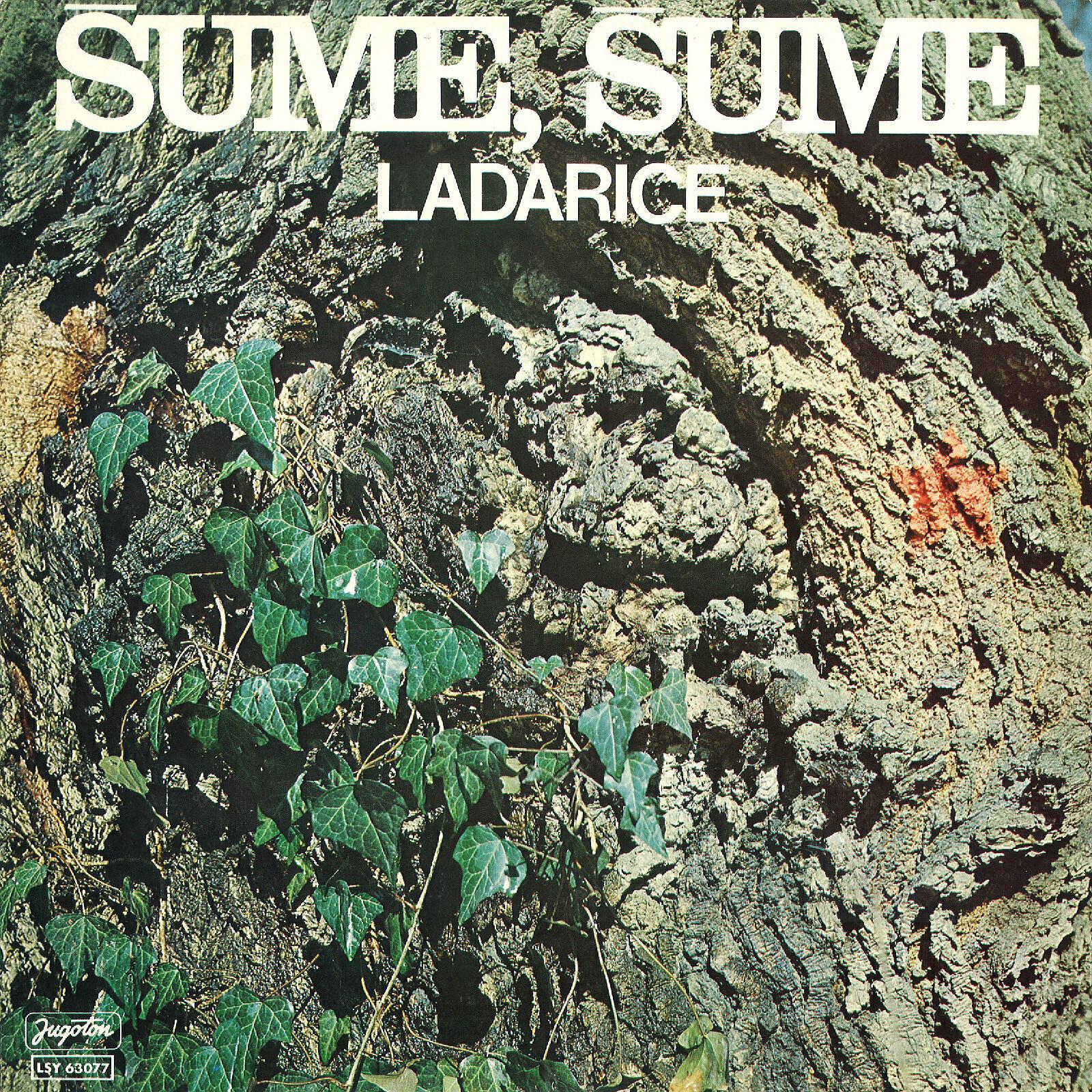 Постер альбома Šume, Šume