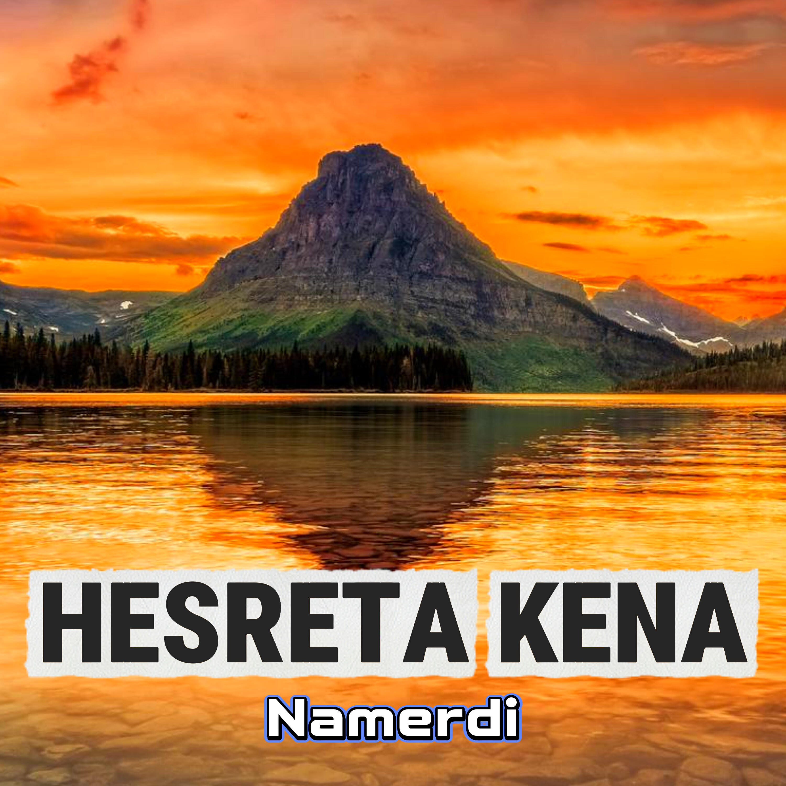 Релиз Namerdi