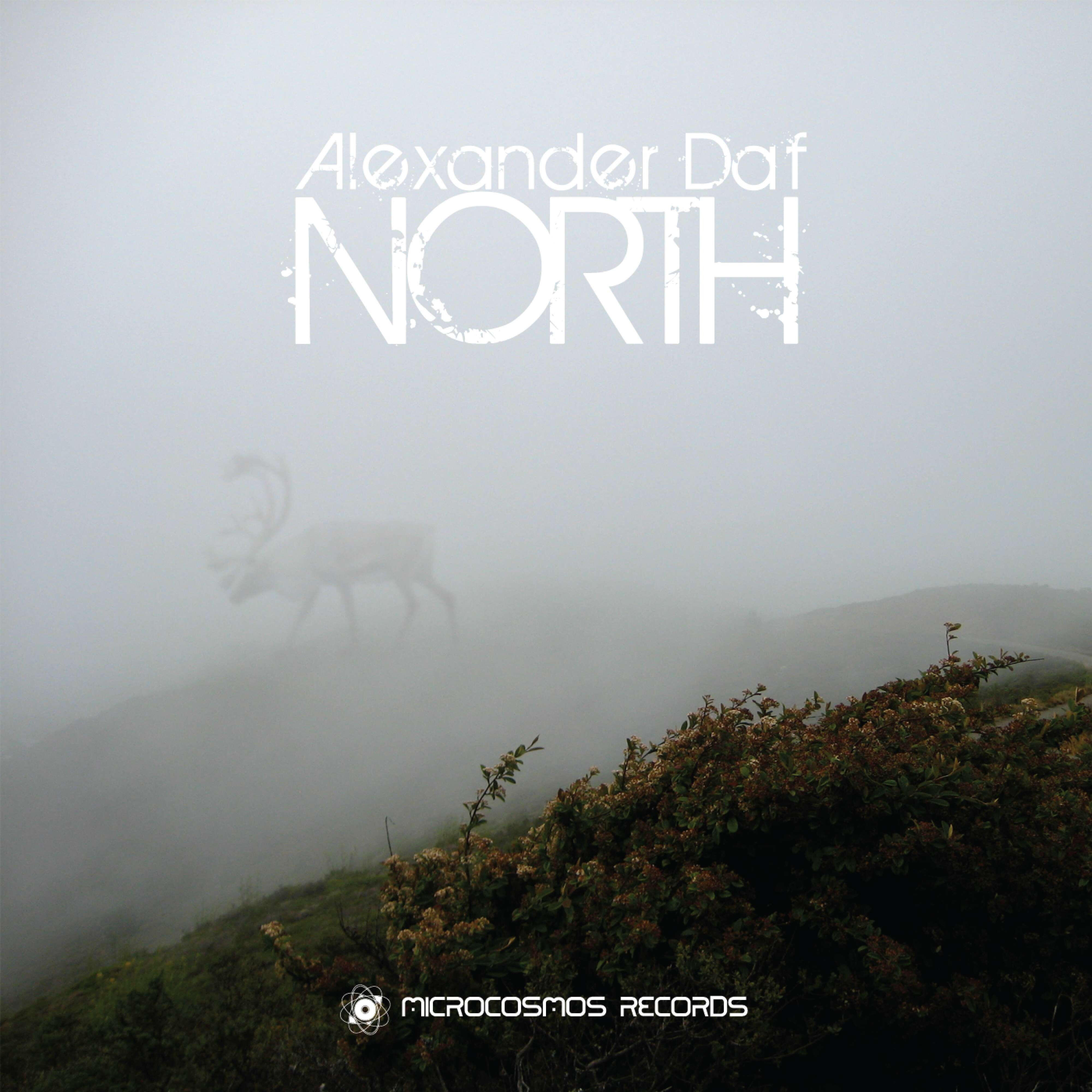 Релиз North