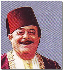 Nasri Shamsedine