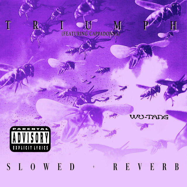 Релиз Triumph (feat. Cappadonna) [slowed + reverb]
