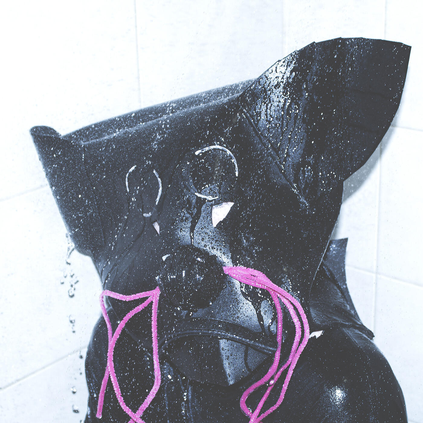 Rats Of The Universe