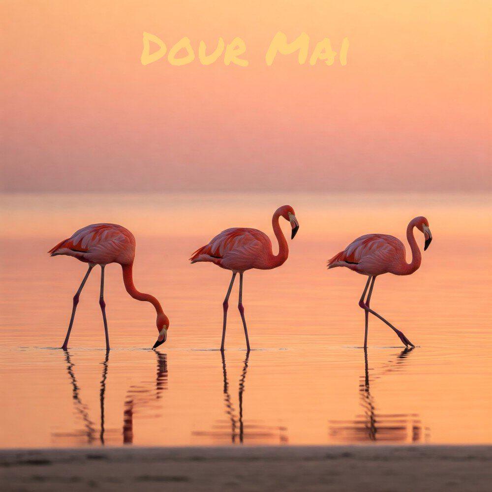 Релиз Dour Mai