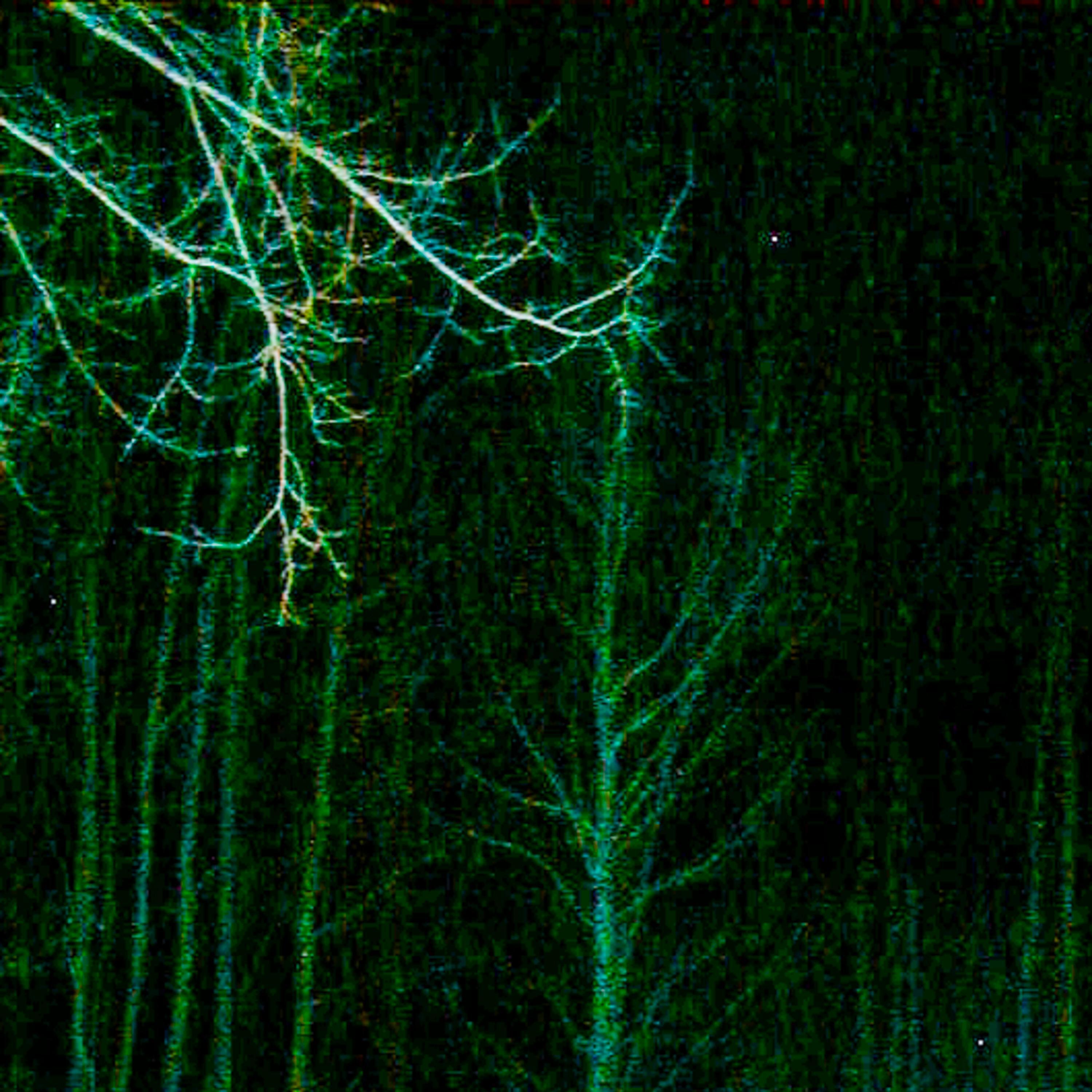 Релиз light green