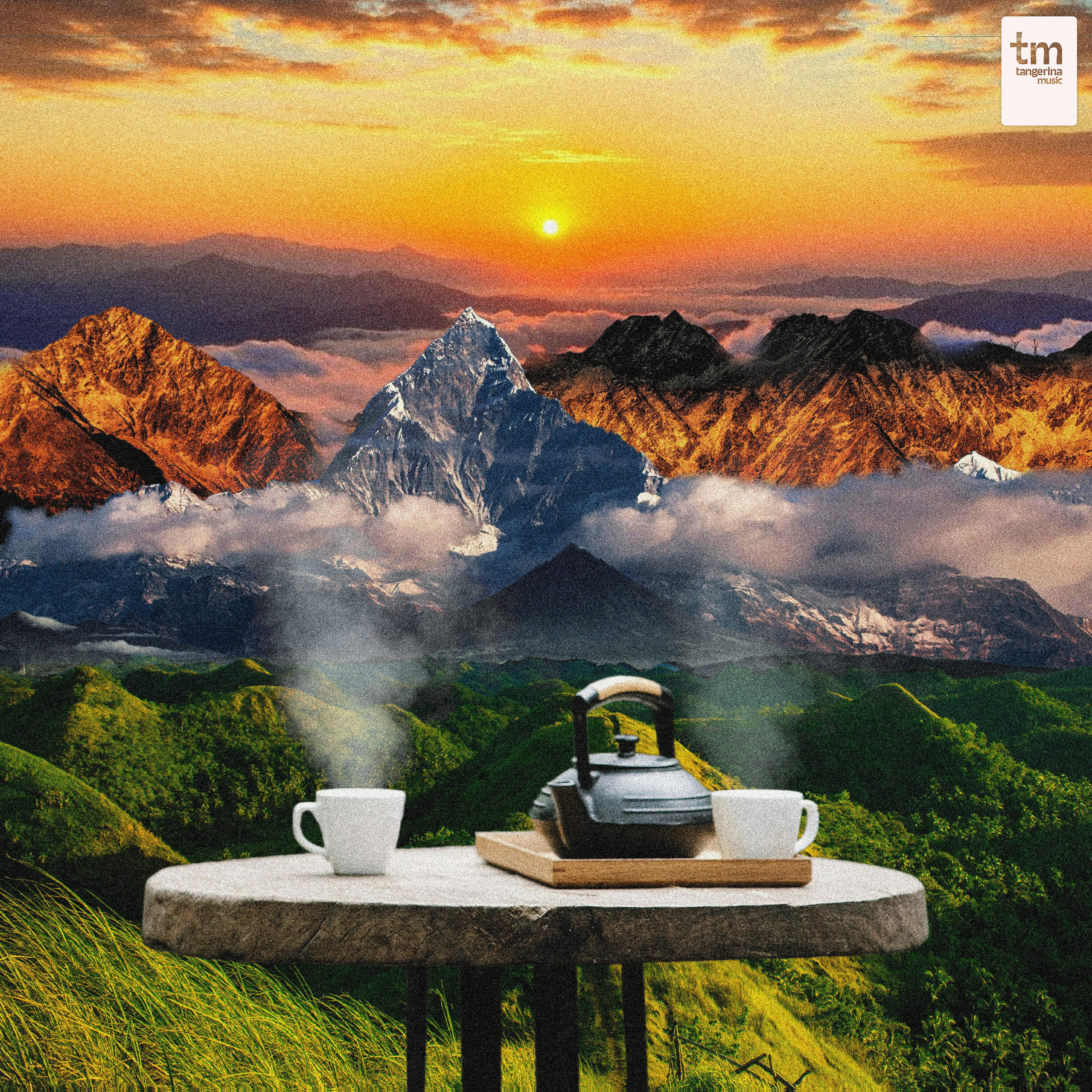 Релиз Morning Brew