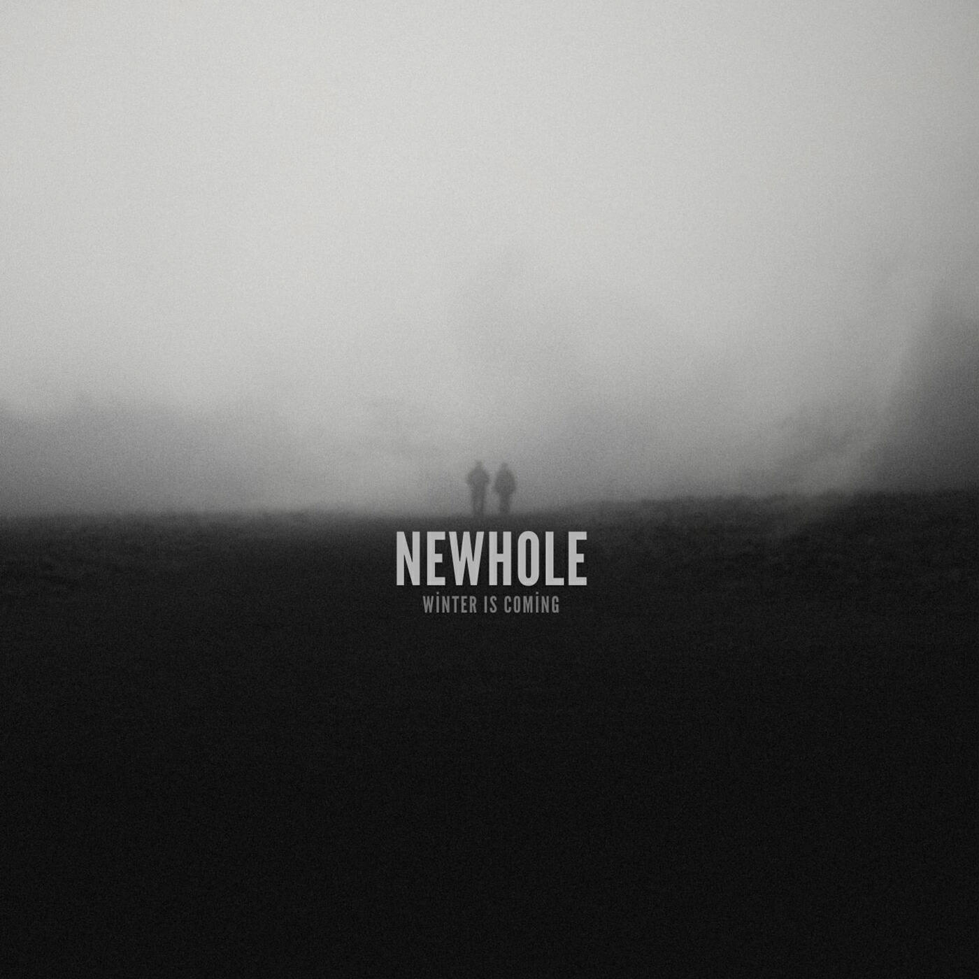 Релиз Newhole