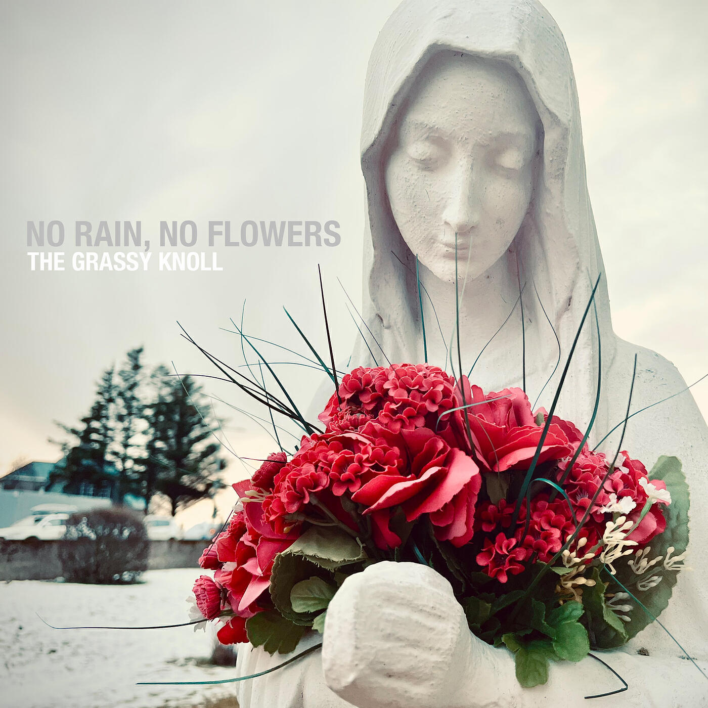 Релиз No Rain No Flowers