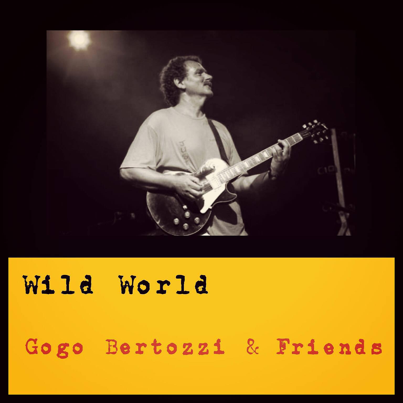 Релиз Wild World
