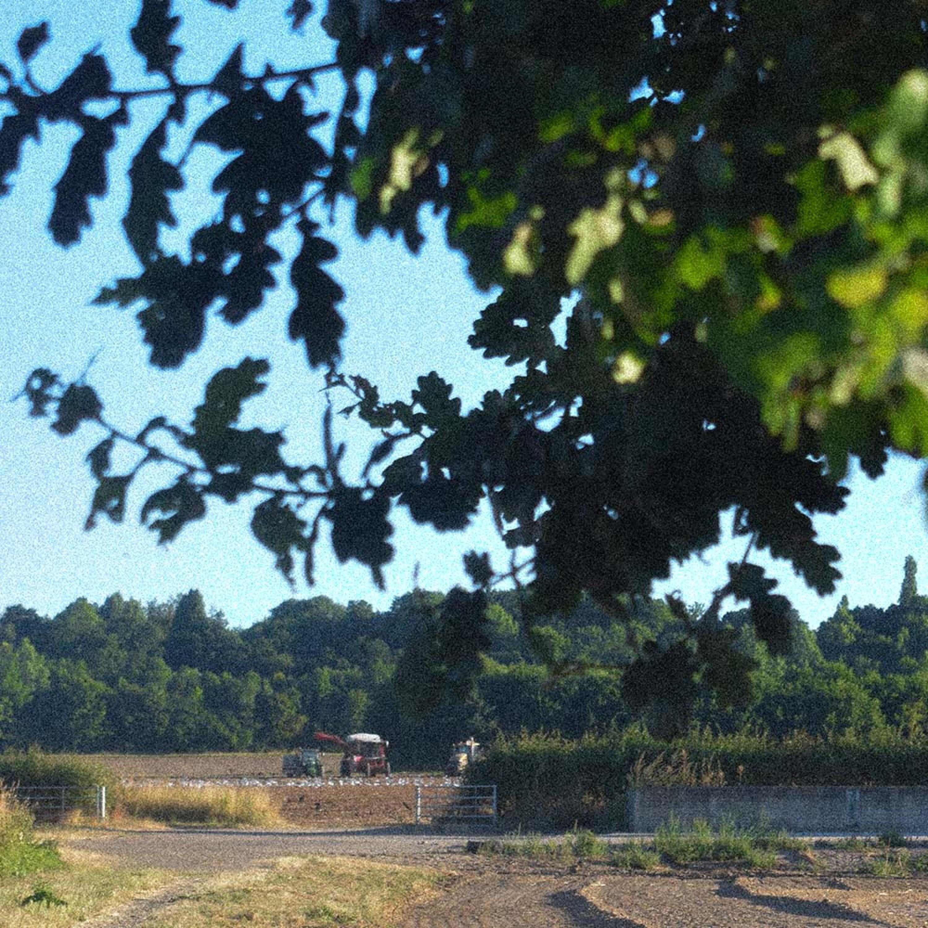 Релиз fields