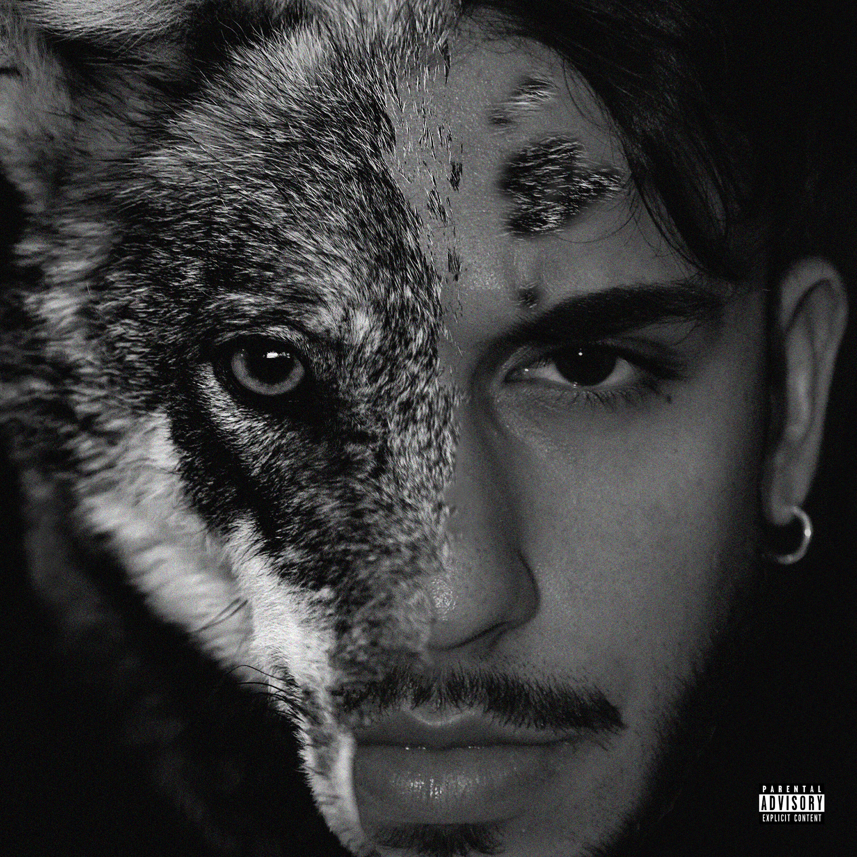Постер альбома Wolves