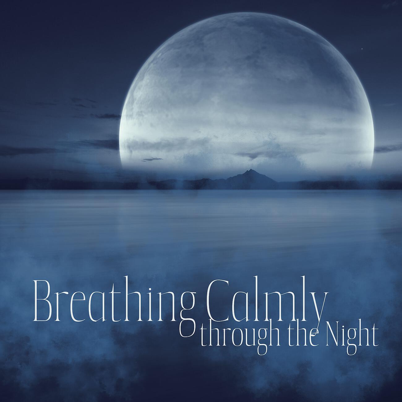 Релиз Breathing Calmly through the Night