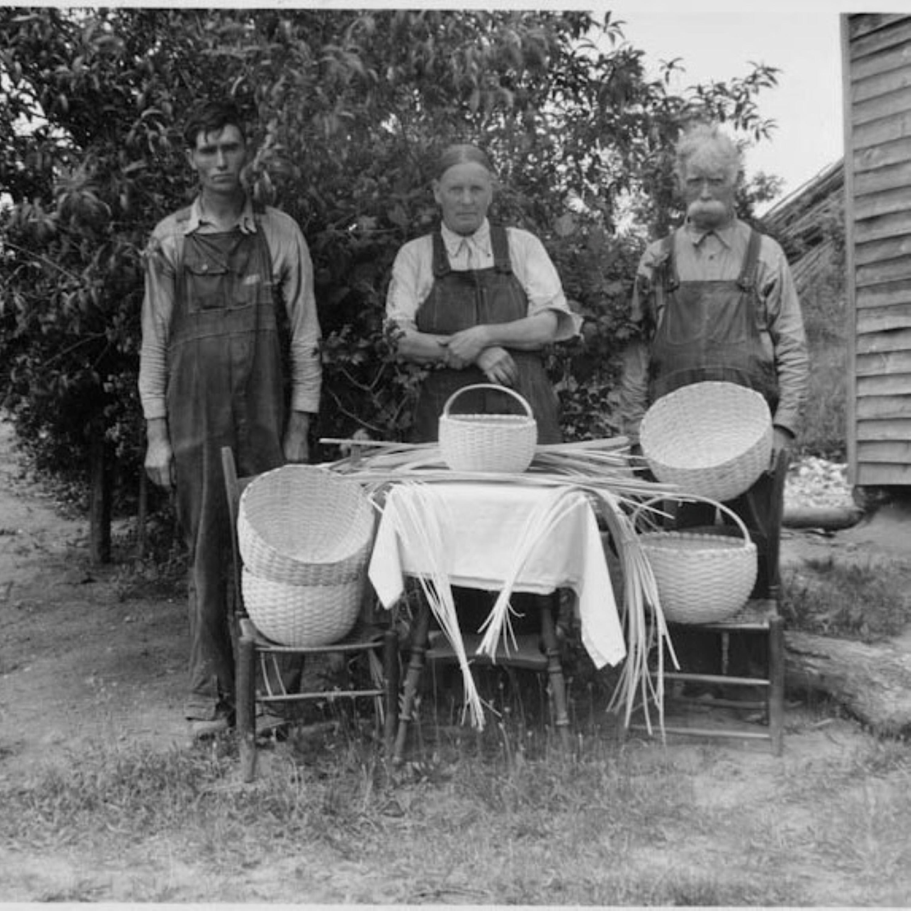 Релиз Did You Find the Money Farm?