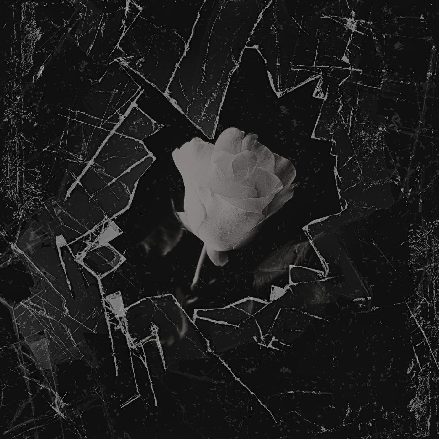 Релиз Mold