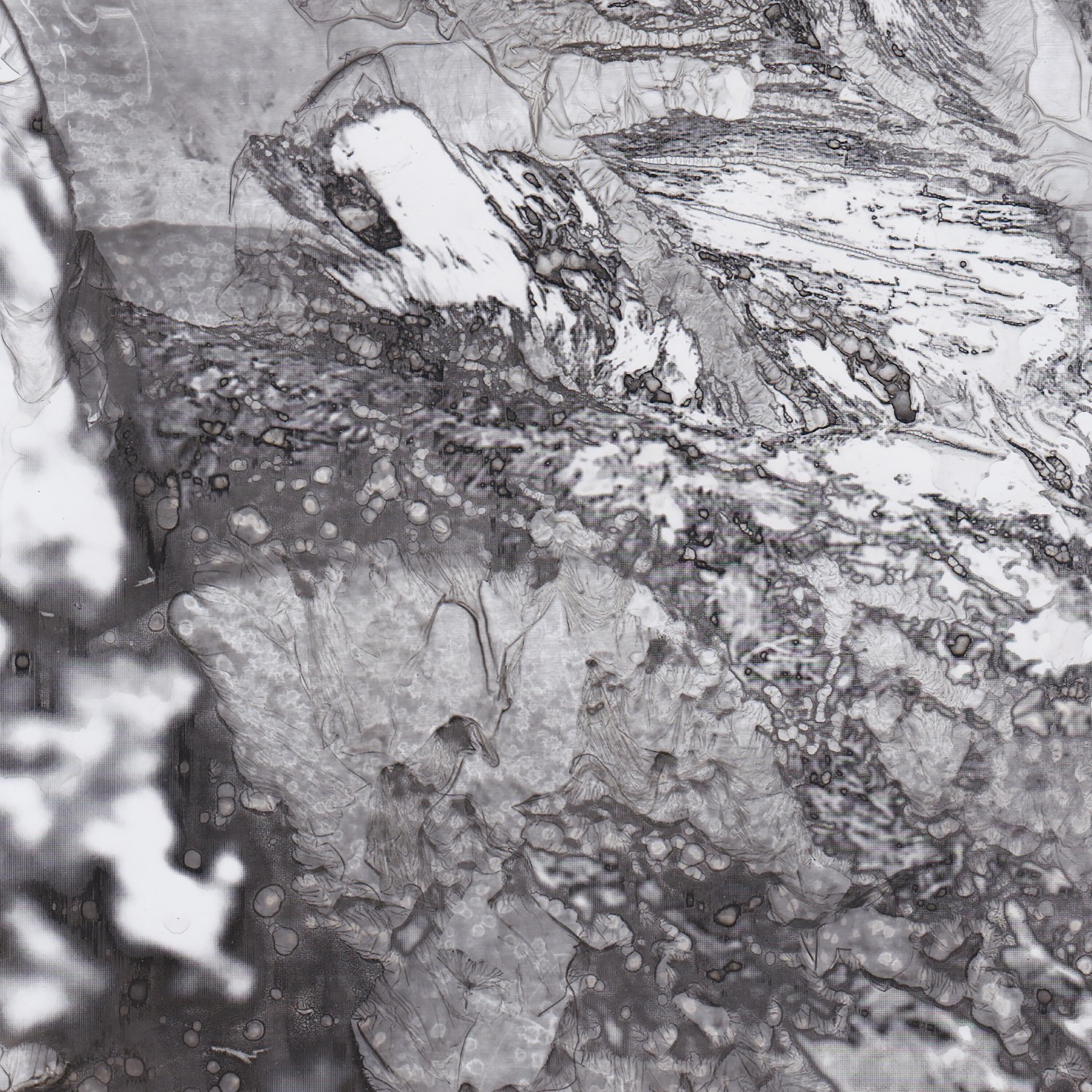 Релиз Micromacrocosmo