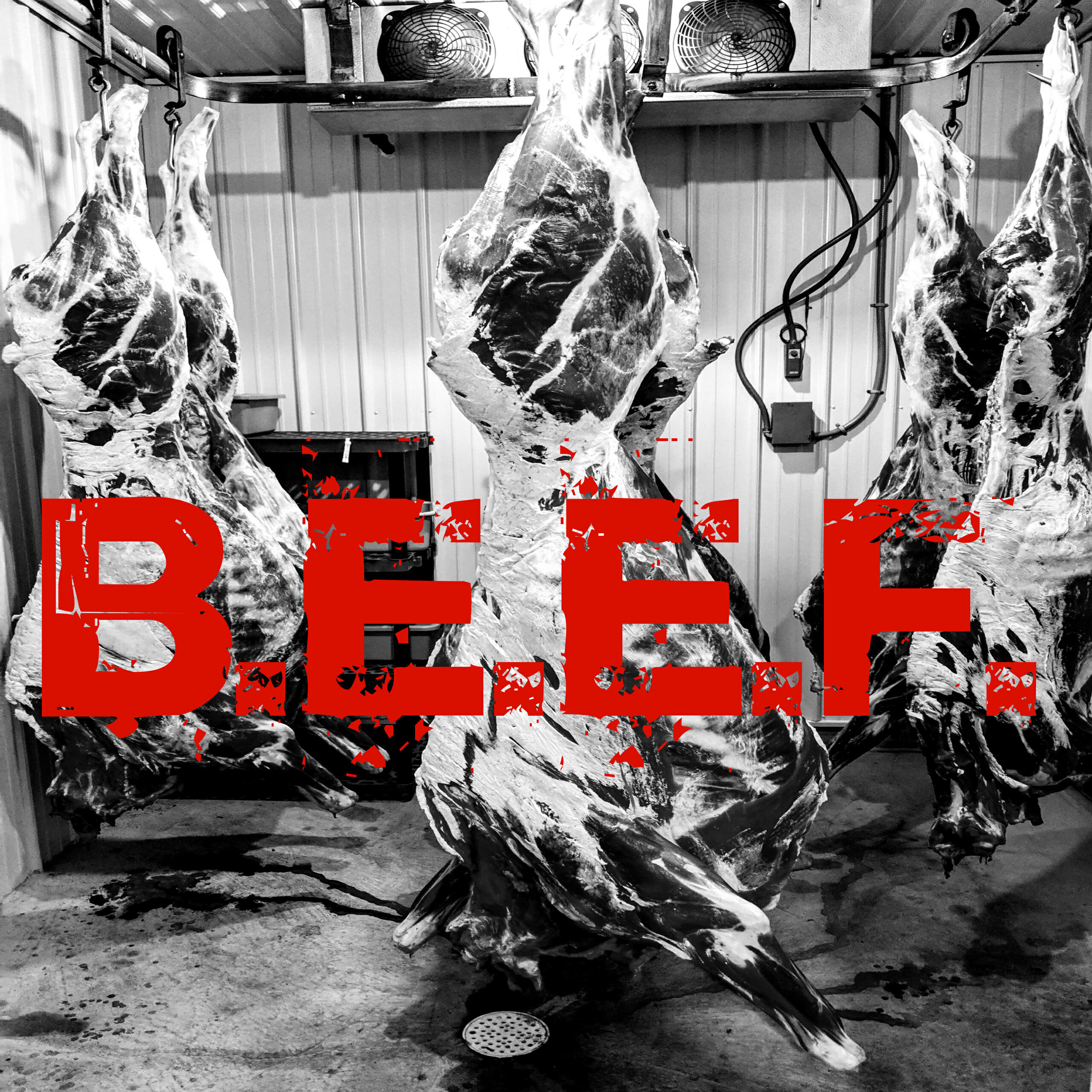 Релиз B.E.E.F