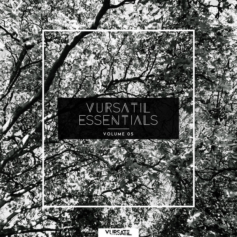 Релиз Vursatil Essentials 05