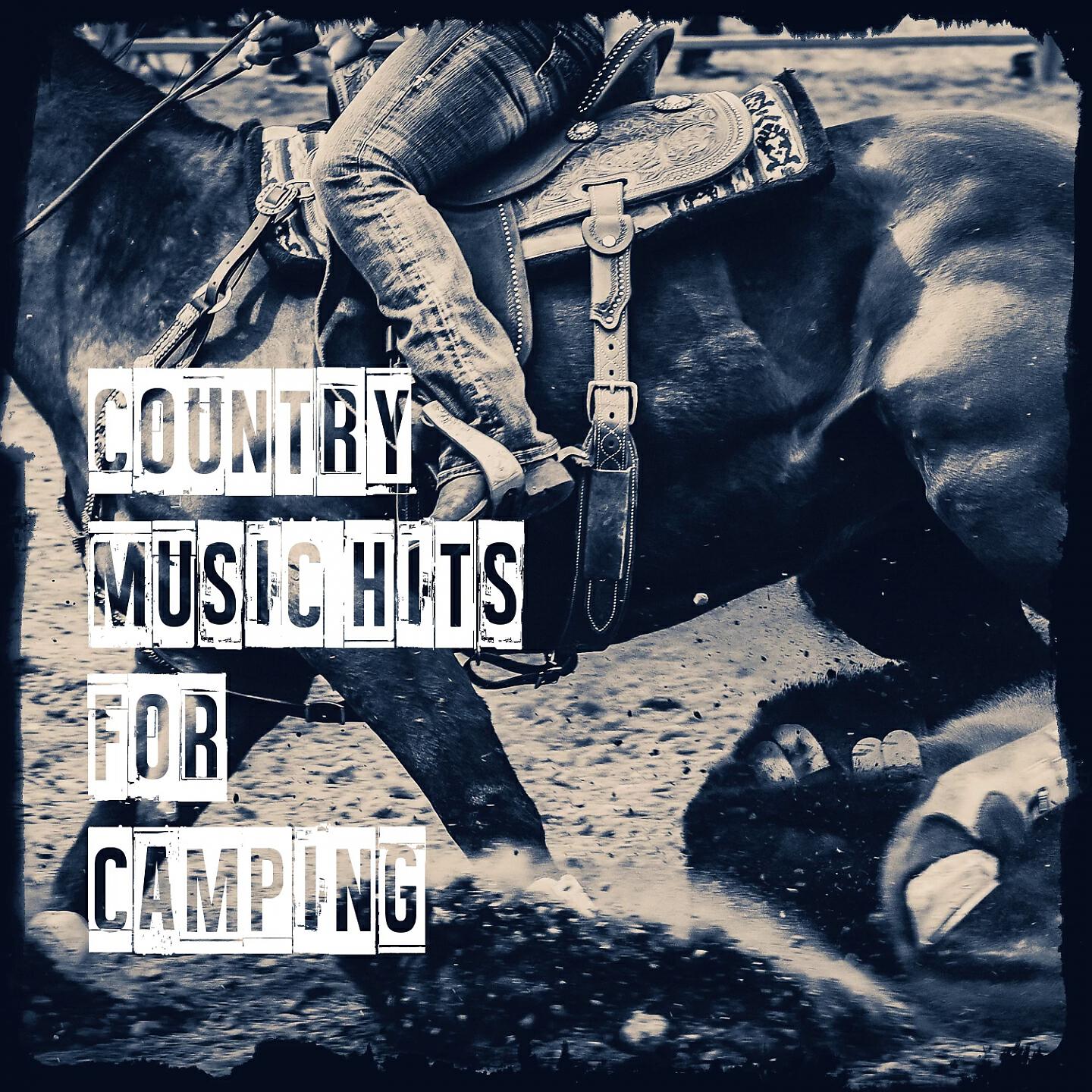 Релиз Country Music Hits for Camping