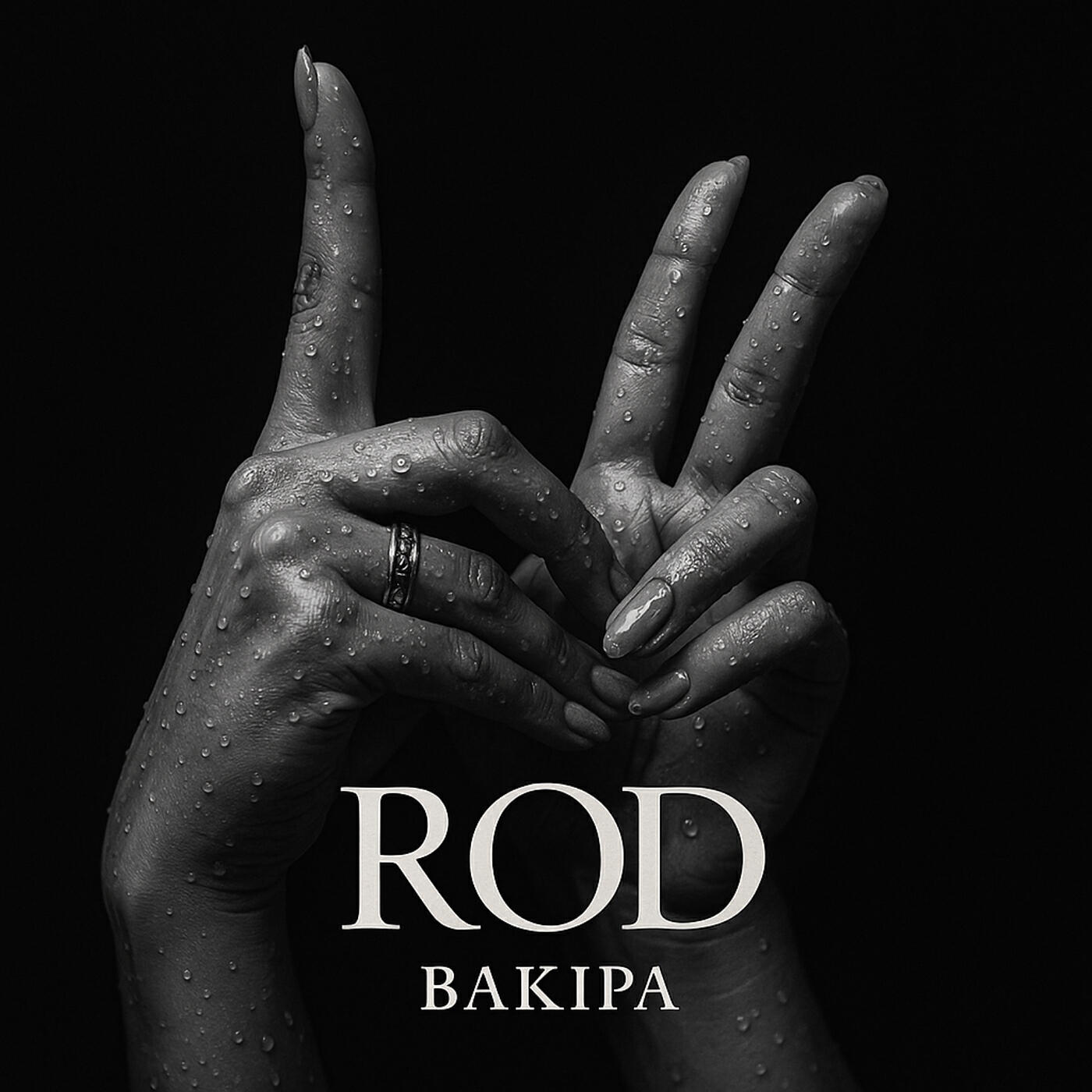 Релиз Rod