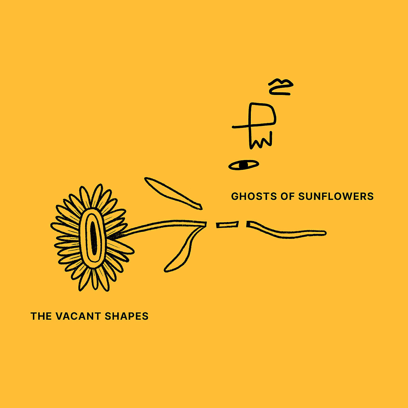 The Vacant Shapes