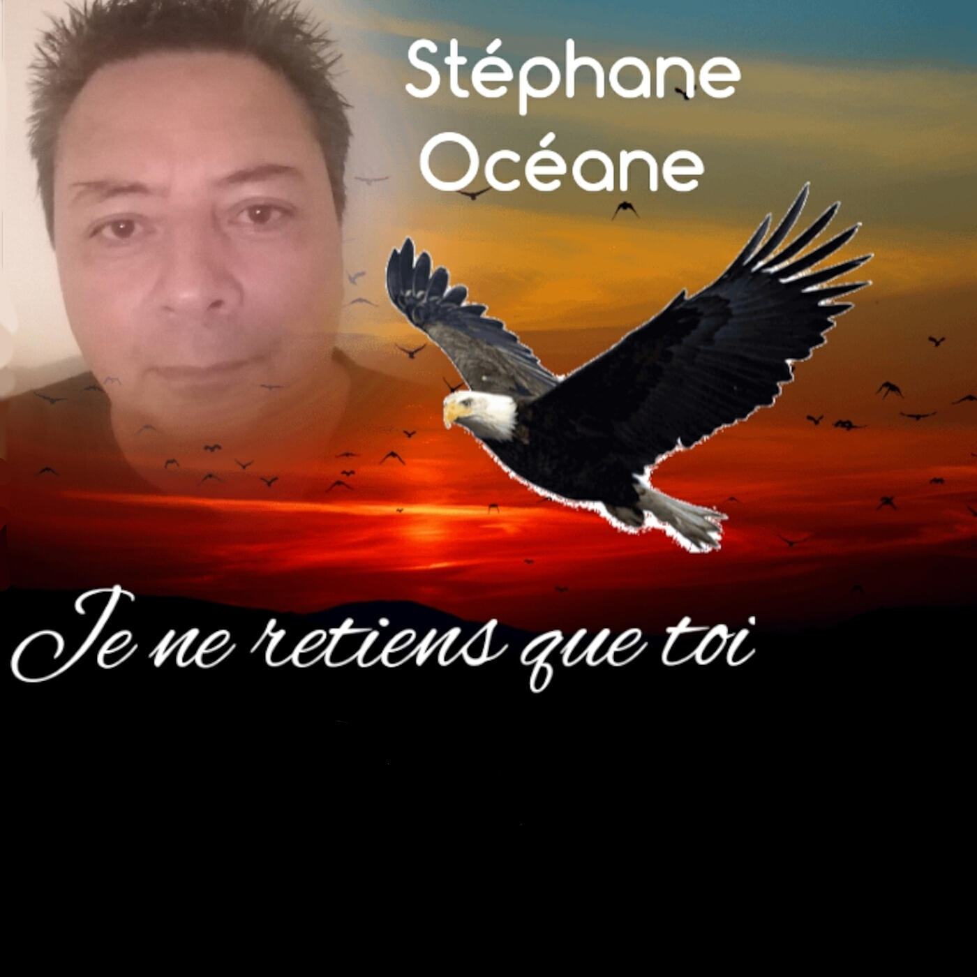 Релиз Je ne retiens que toi