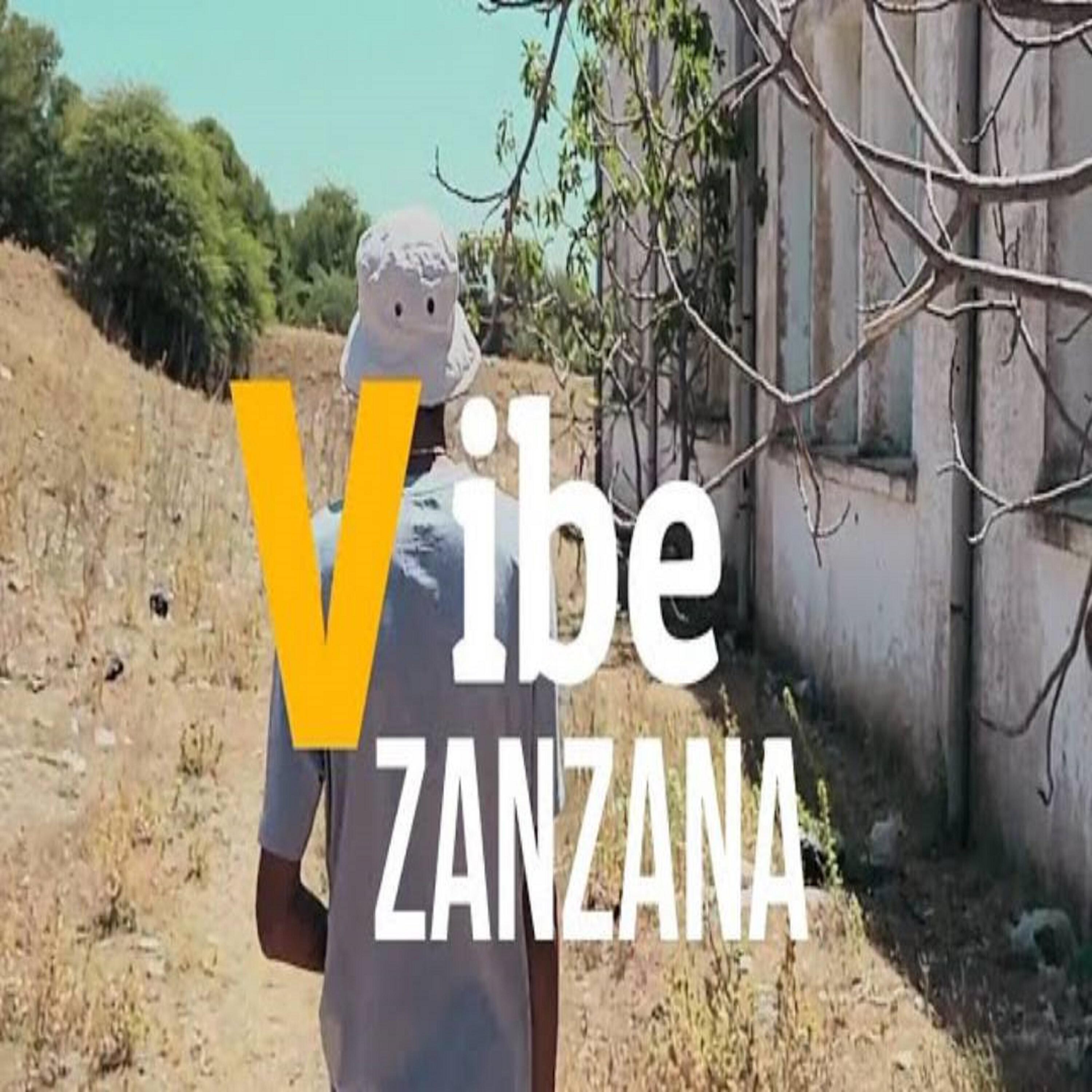 Релиз VIBE