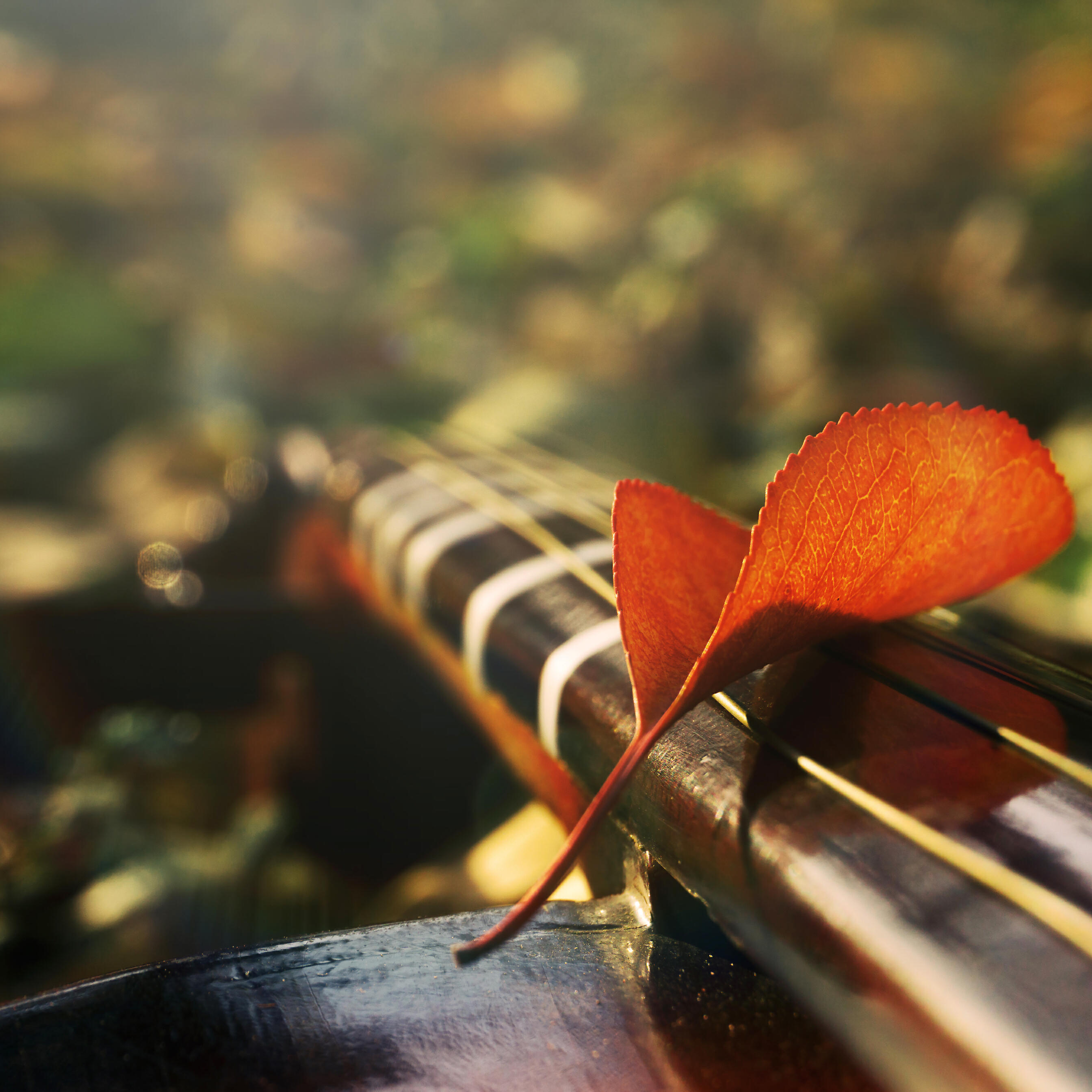 Релиз 雨中回忆