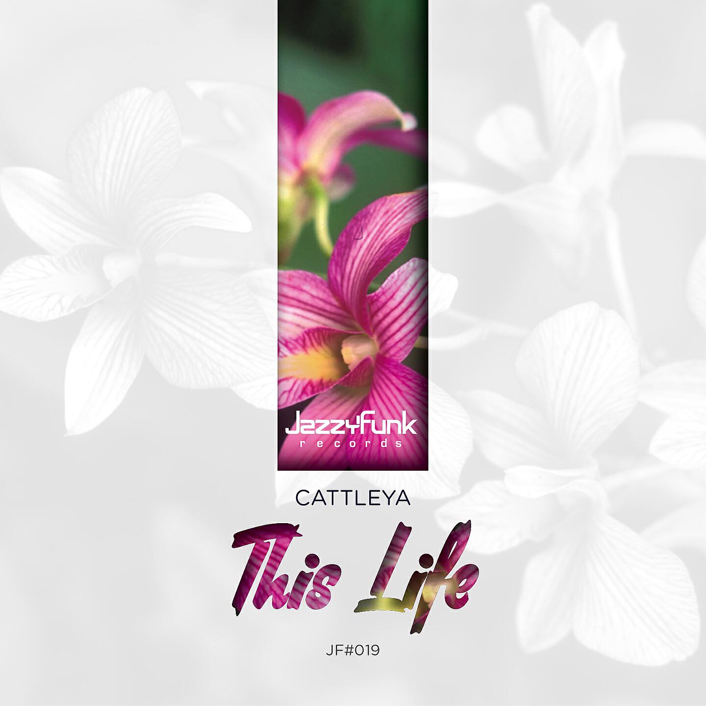 Релиз This Life