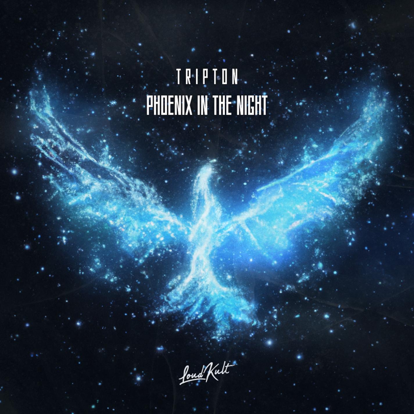 Релиз Phoenix In The Night