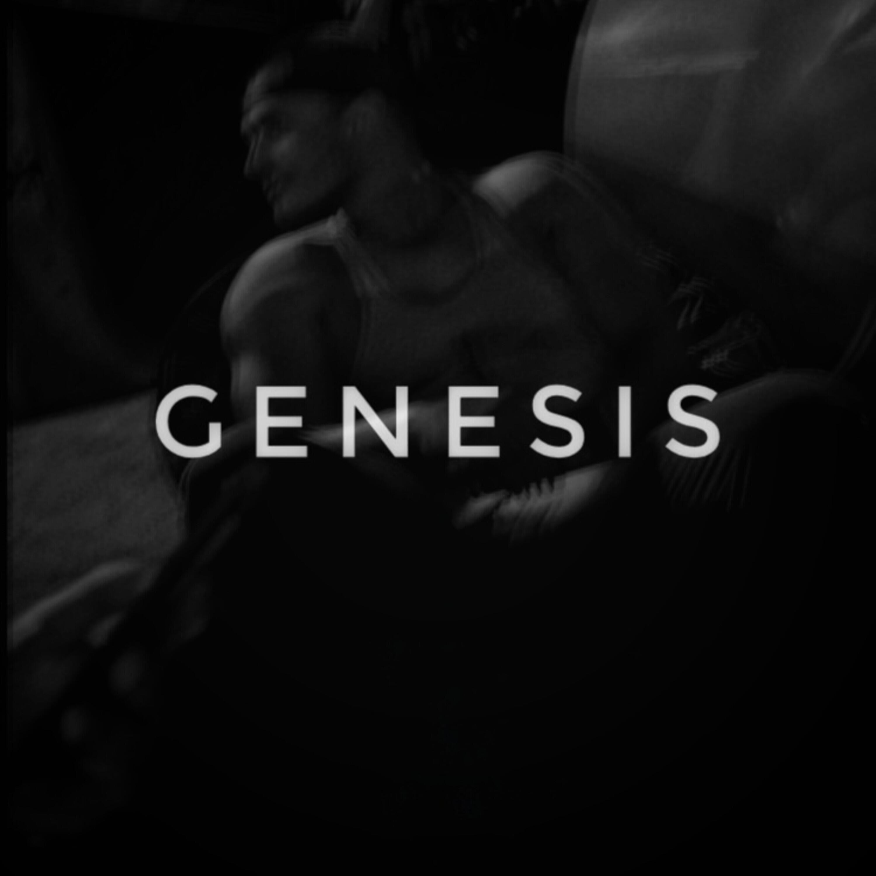 Релиз Genesis
