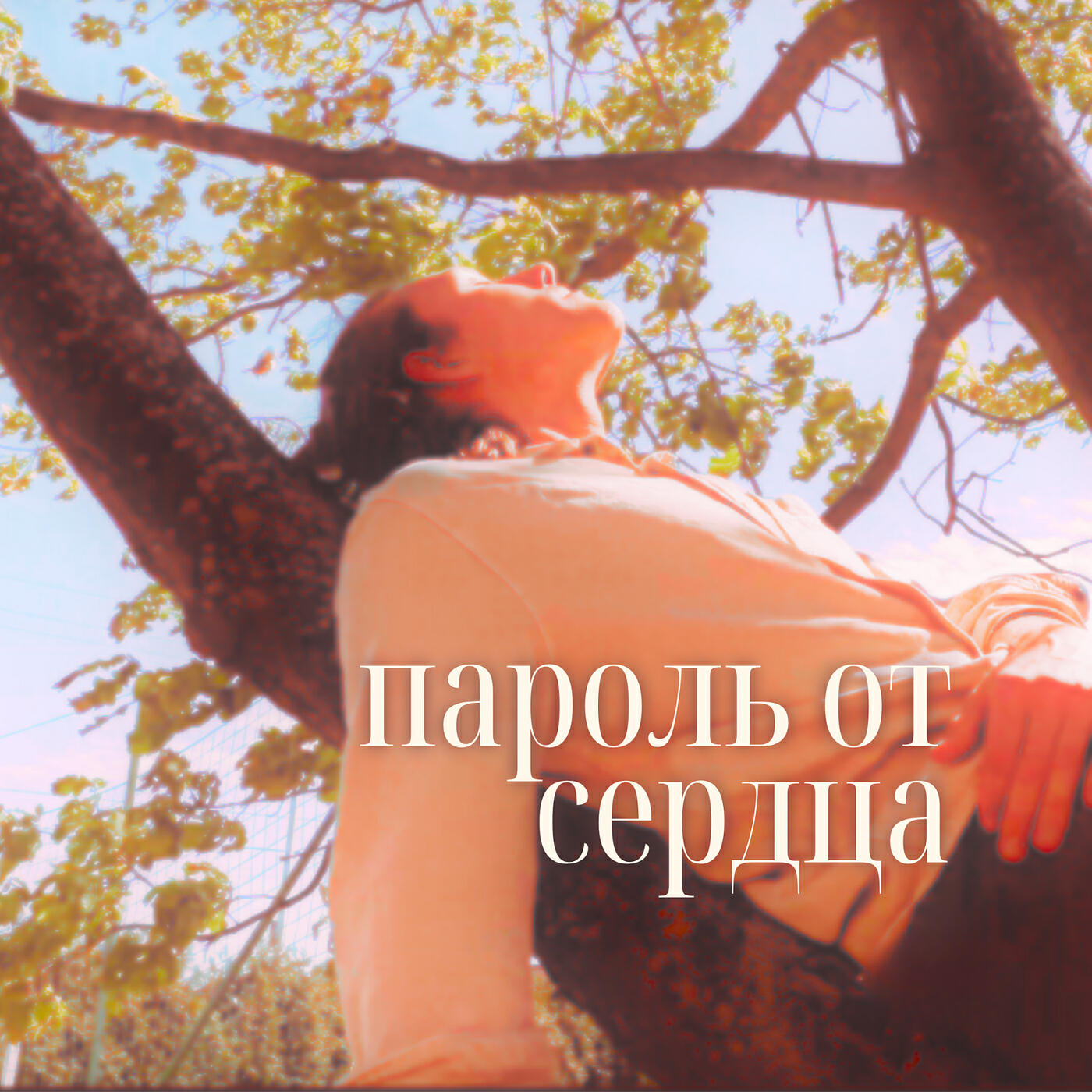 Релиз Пароль от сердца