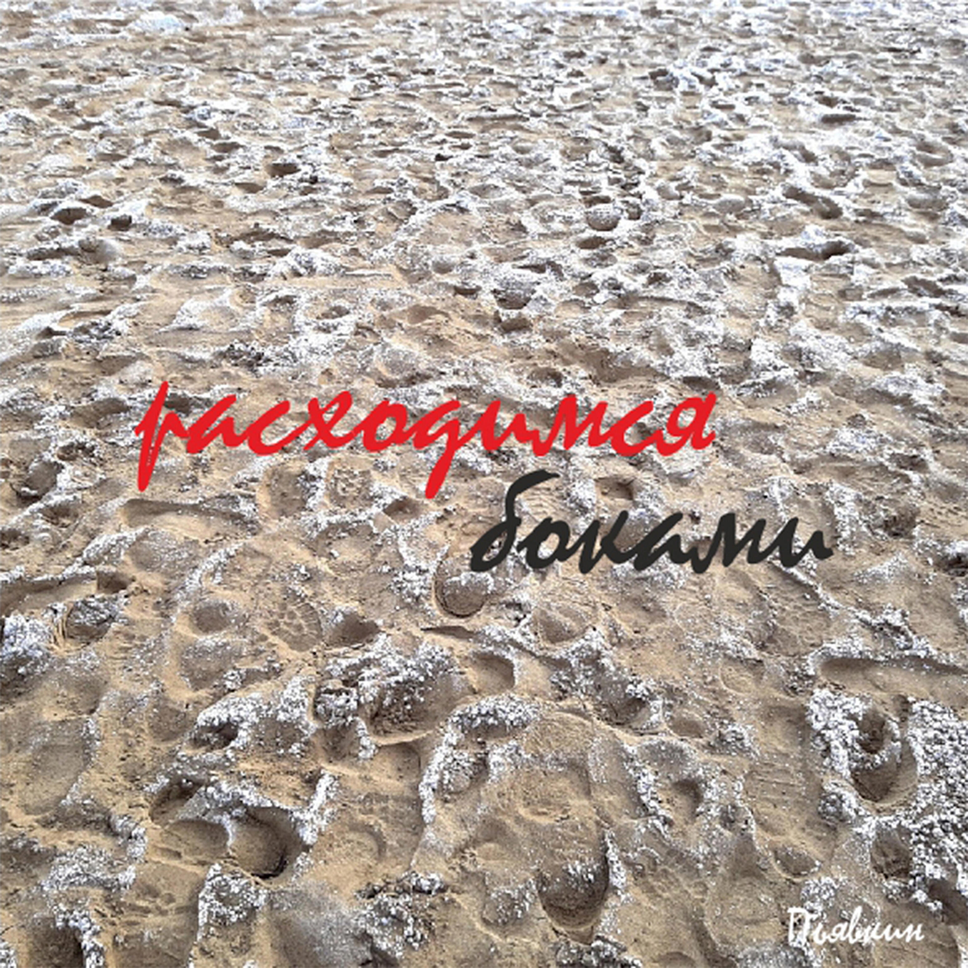 Пьявкин