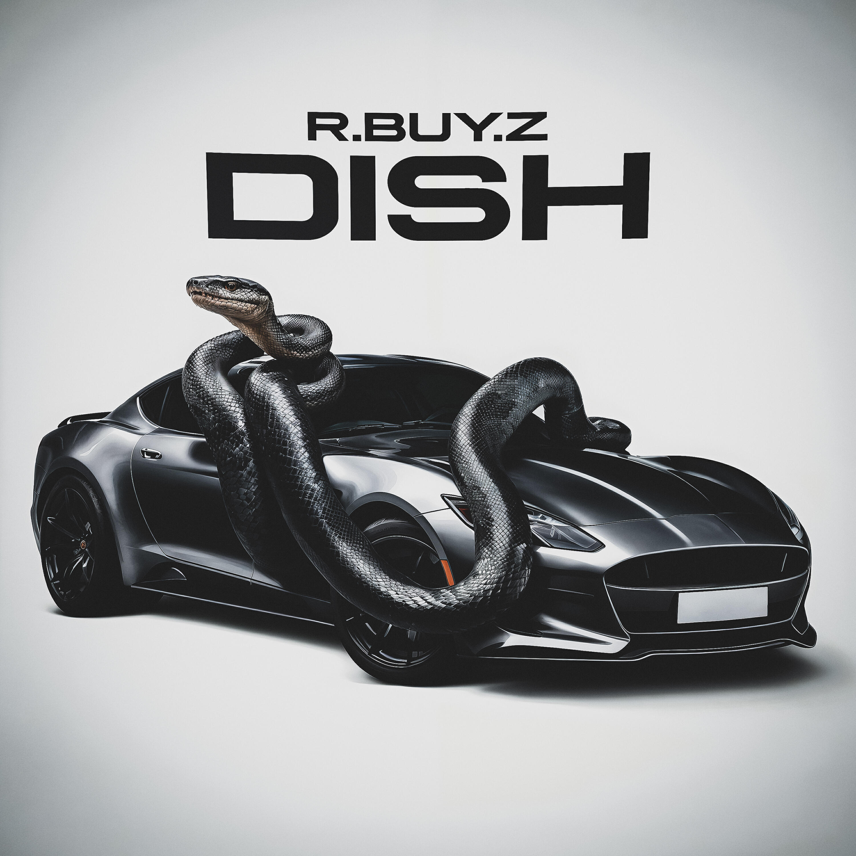 Релиз DISH