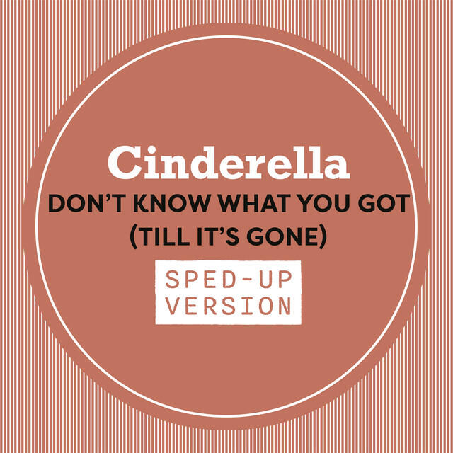 Релиз Don't Know What You Got (Till It's Gone) [Sped Up]