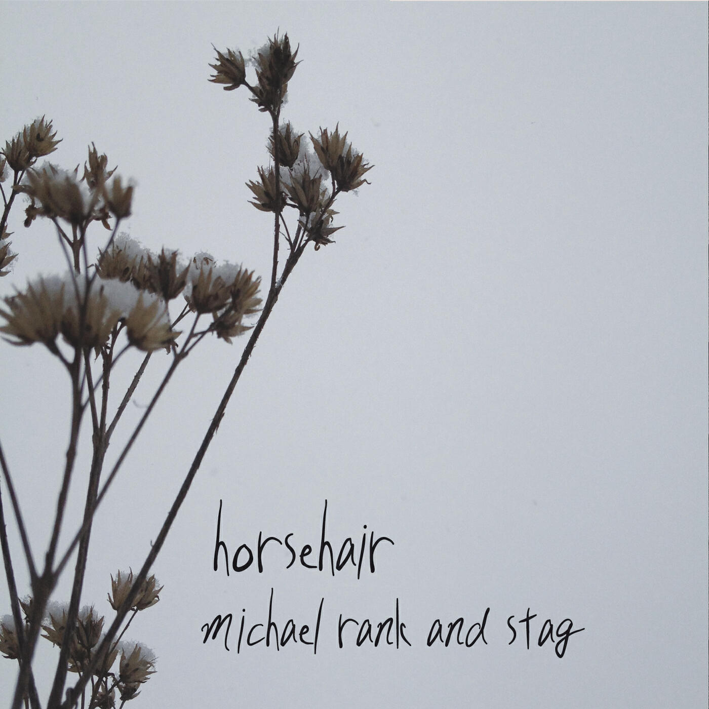 Релиз Horsehair