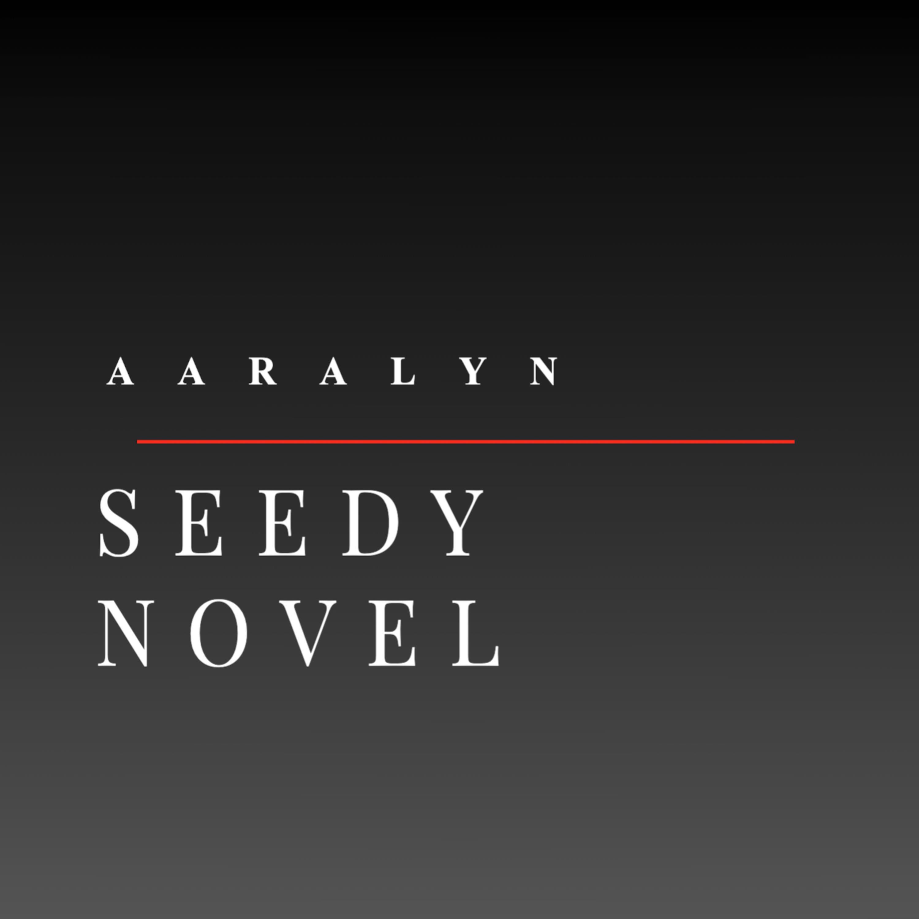 Релиз Seedy Novel