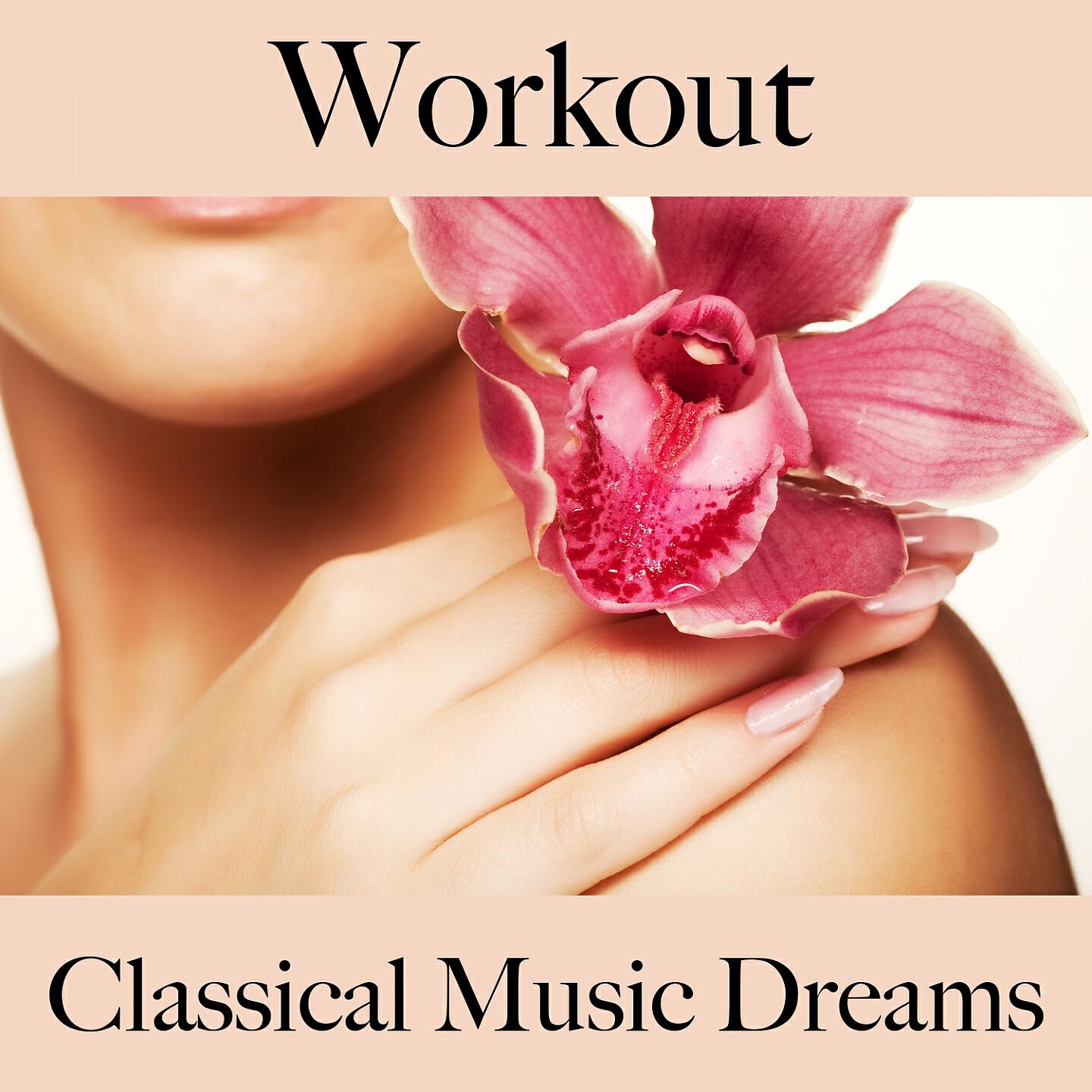 Релиз Workout: Classical Music Dreams - The Best Sounds For Working Out