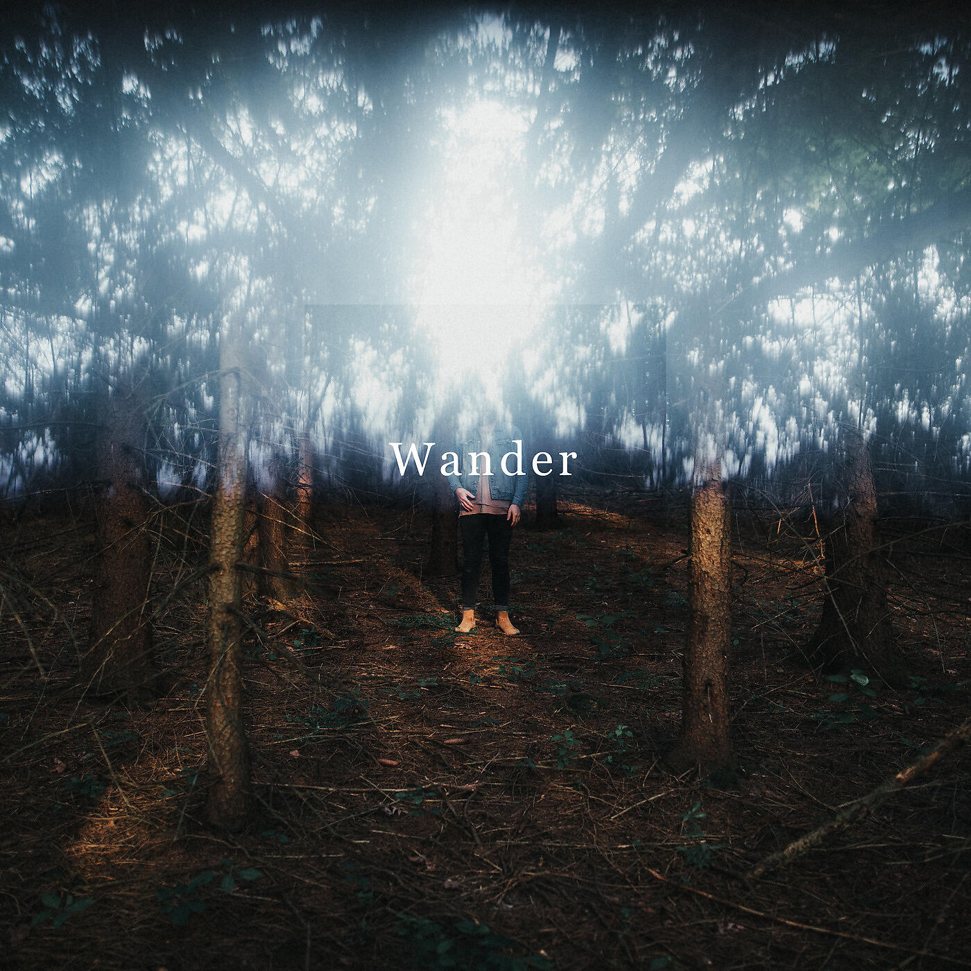 Релиз Wander