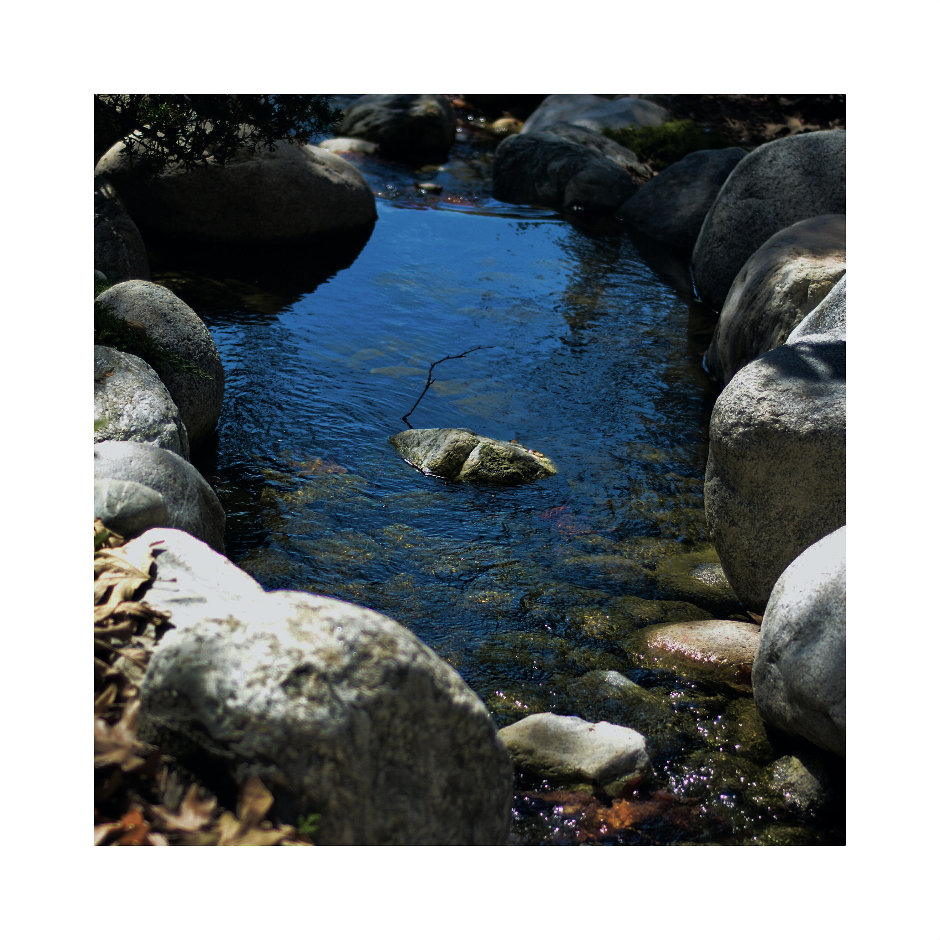 Релиз Ruisseau - Prélude